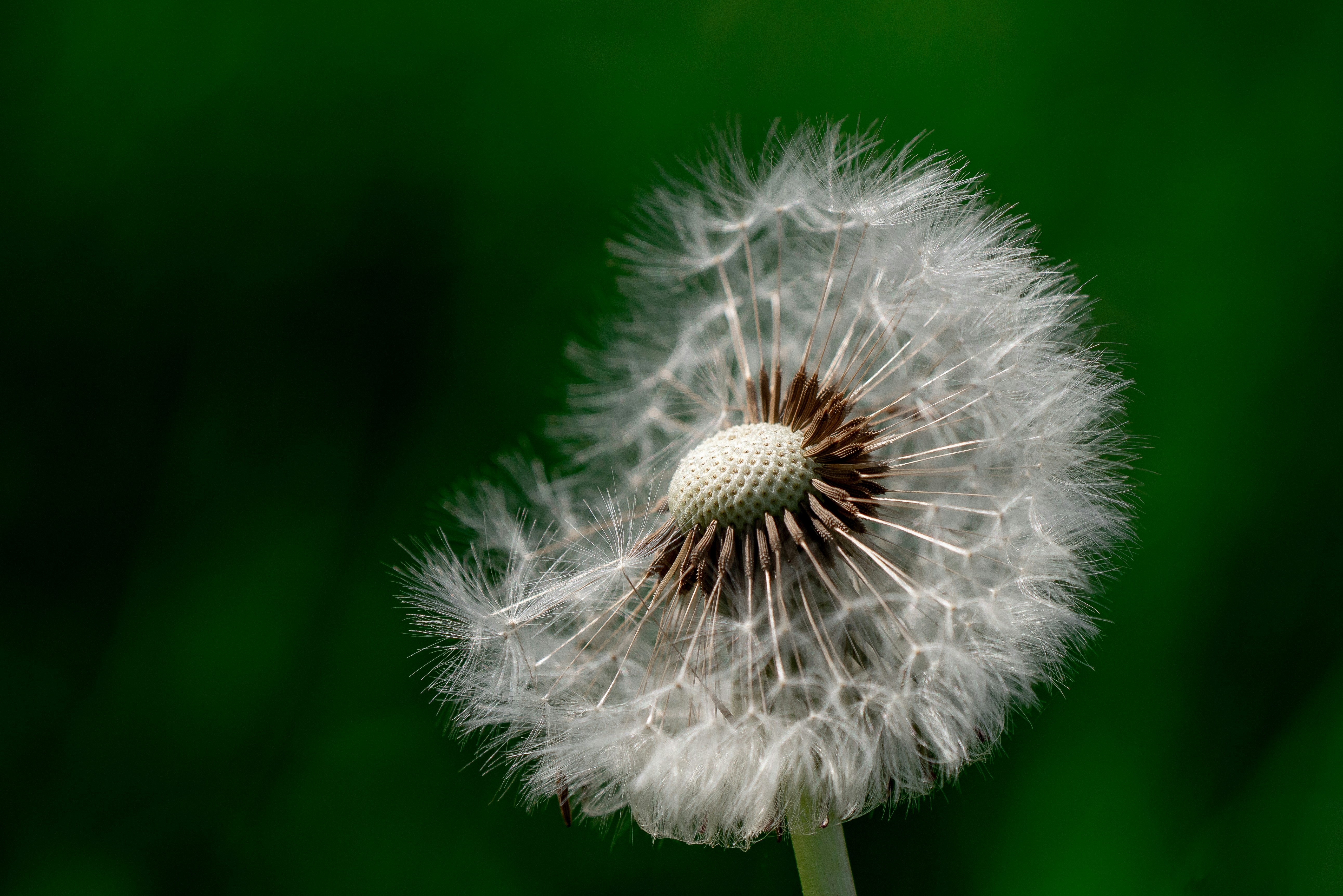 Photo by neringanorman