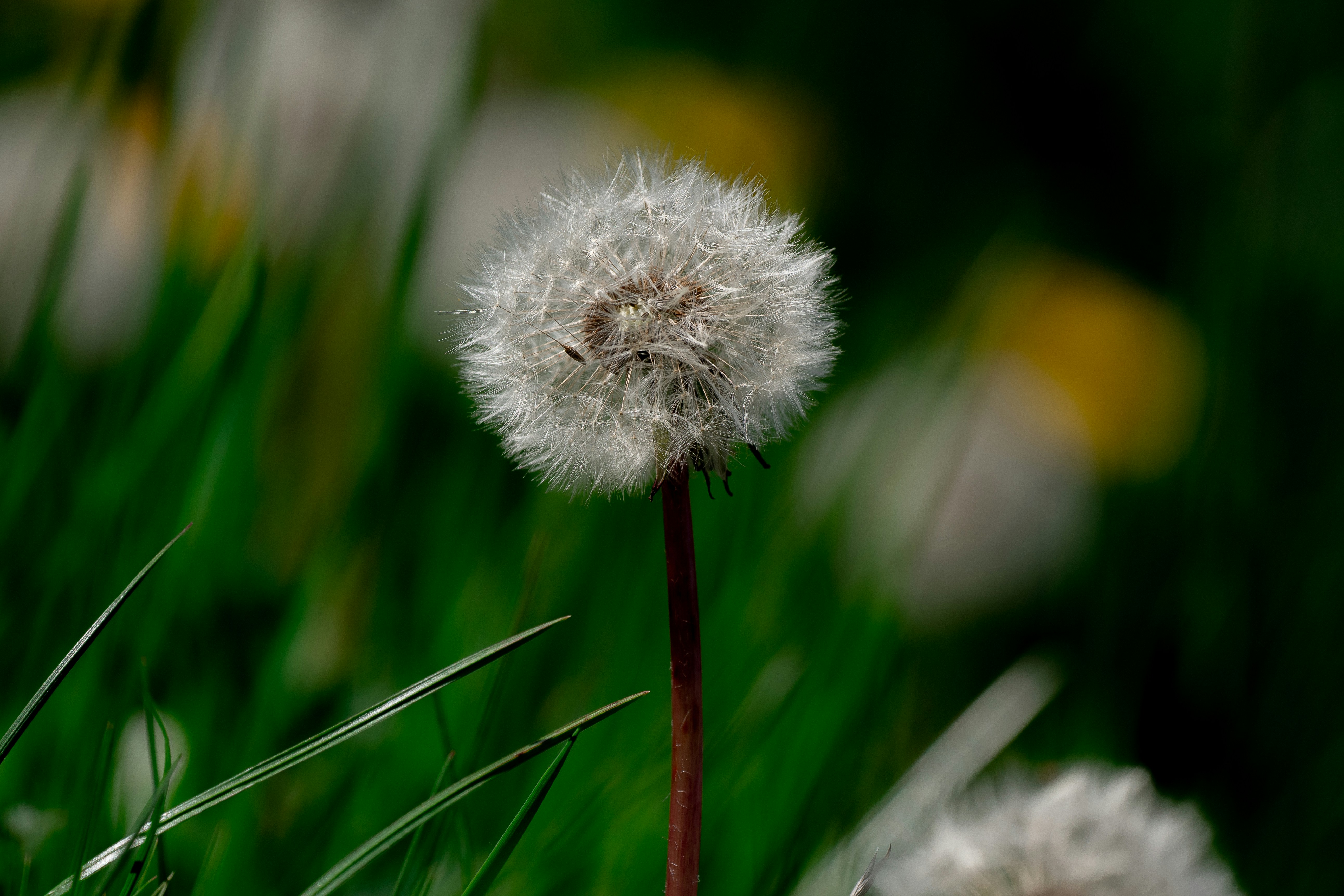 Photo by neringanorman