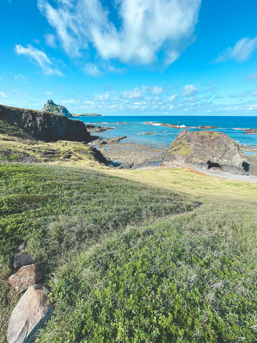 a grassy field next to a body of water