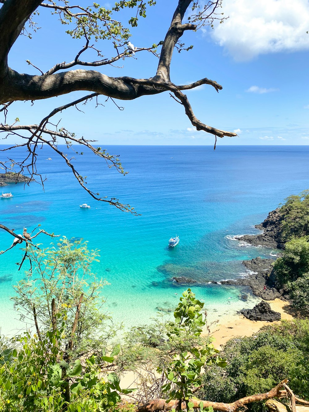 a view of a beach with a boat in the water