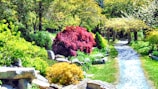 A colorful garden pathway lined with blooming shrubs and decorative stones.