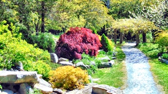 A serene garden path winding through a mix of shrubs and trees.