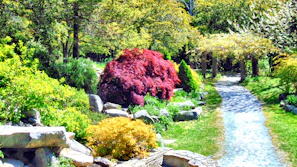 The serene garden path winding through native plants and flowers at Corbett Haven.
