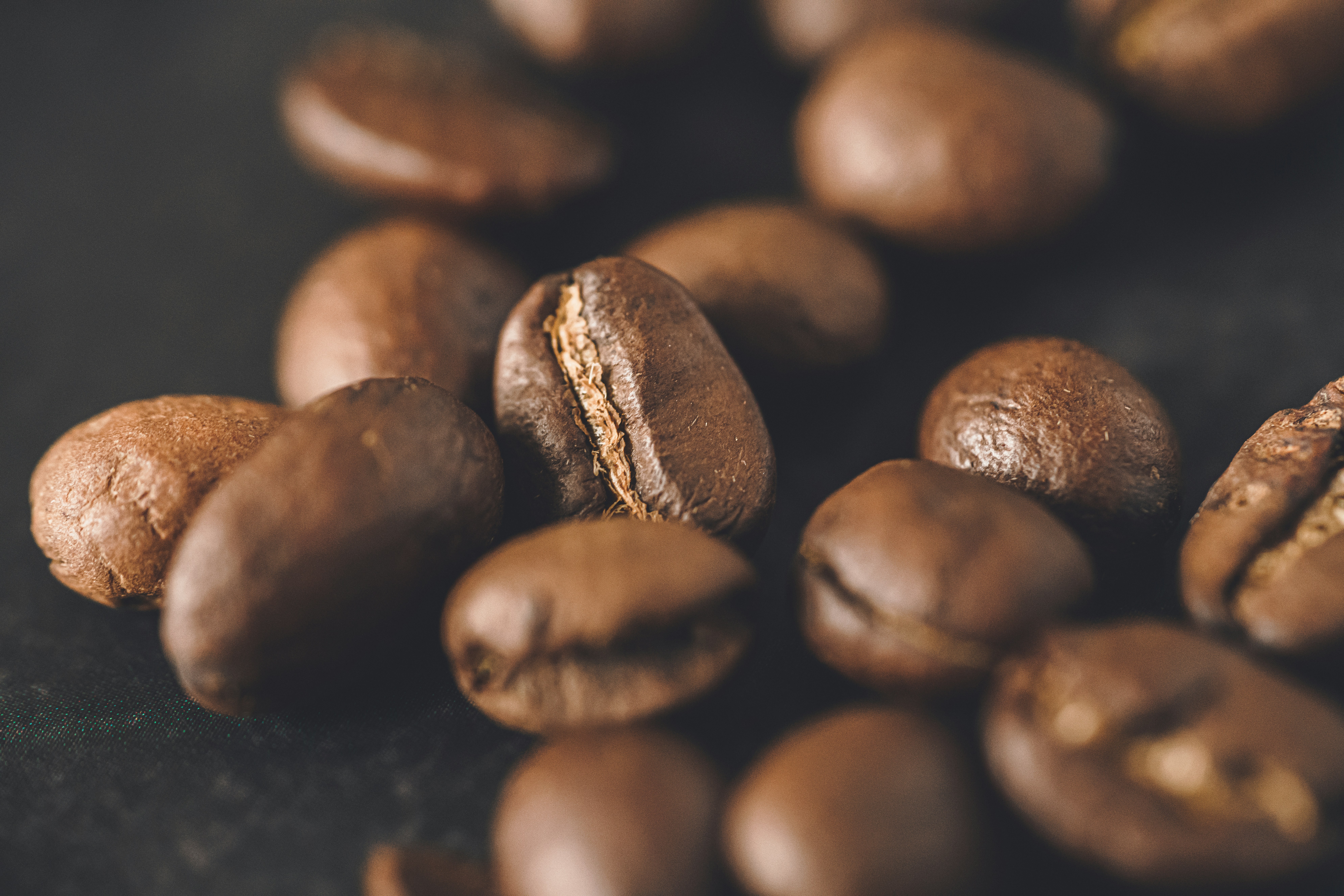 Photo by neringanorman