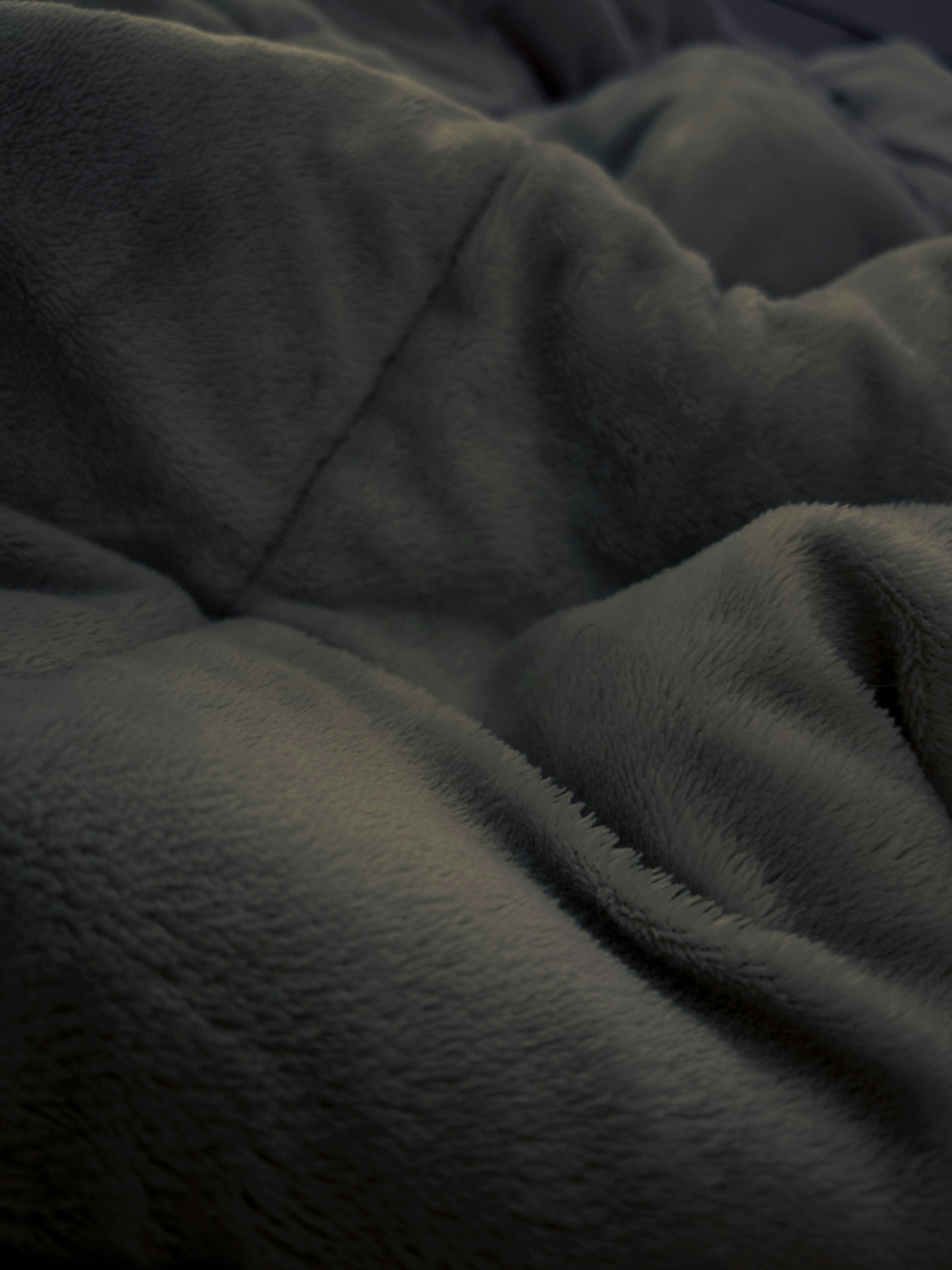 Photo by brunosaituu