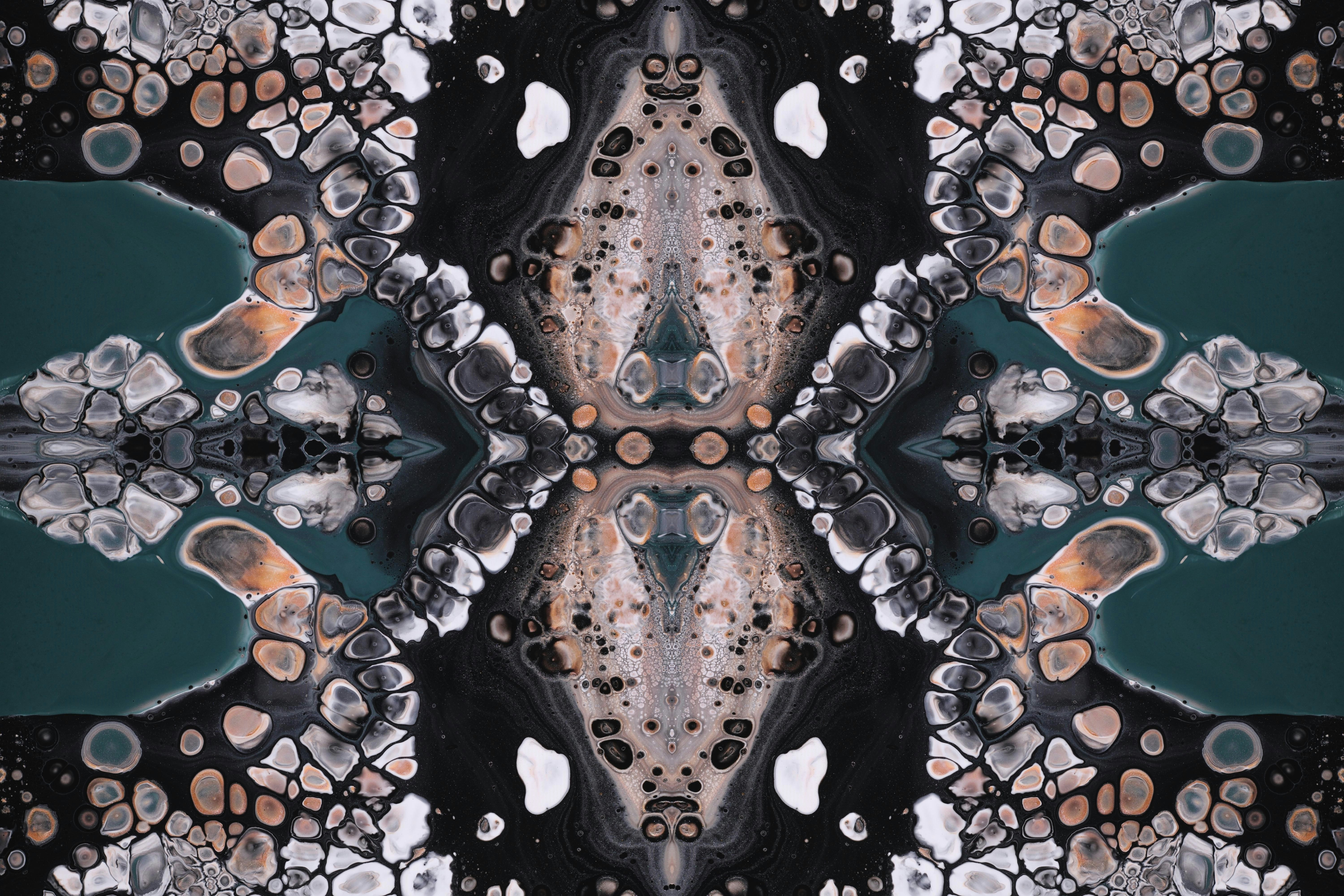 Photo by susan_wilkinson