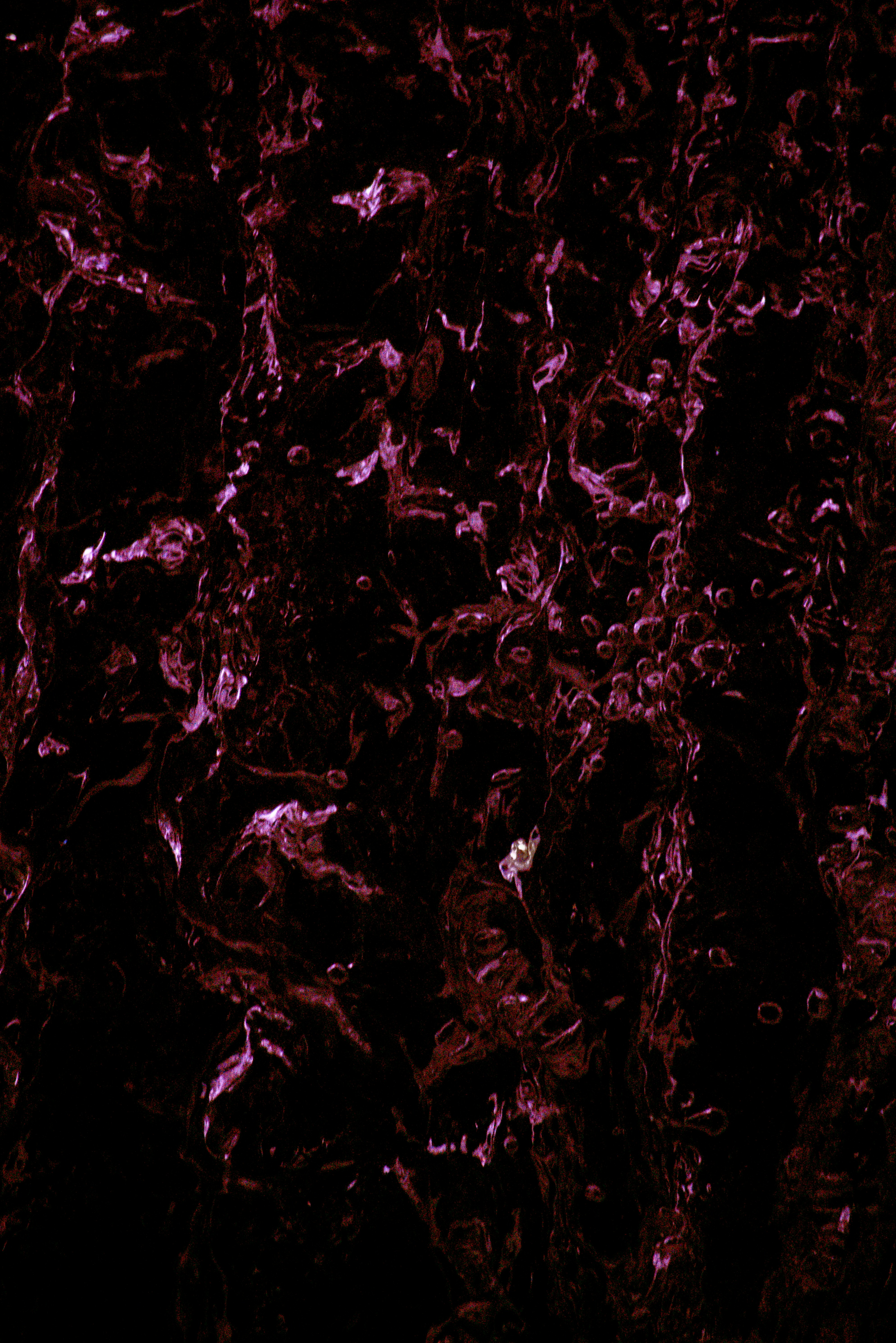 Photo by a_chadha1124