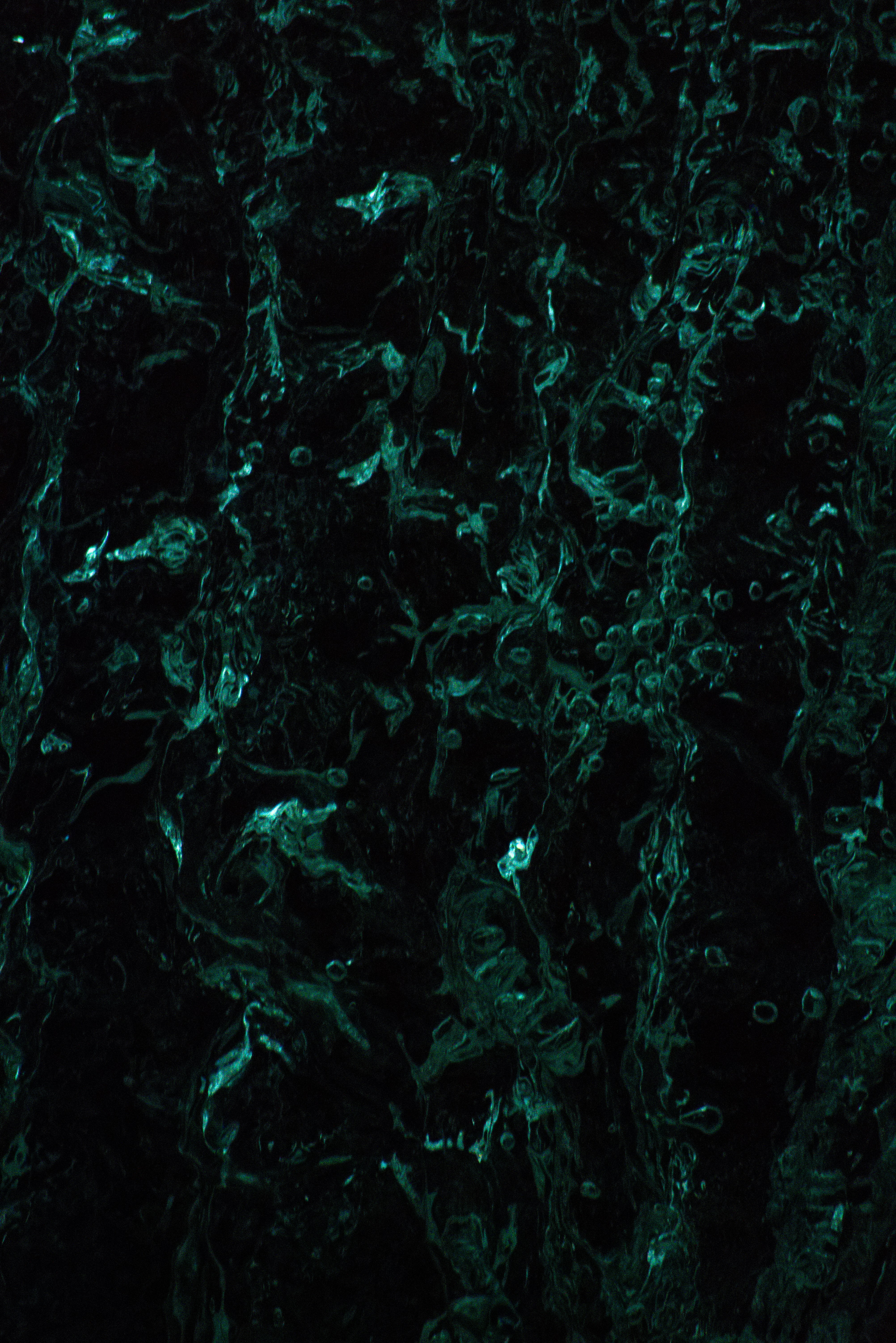 Photo by a_chadha1124