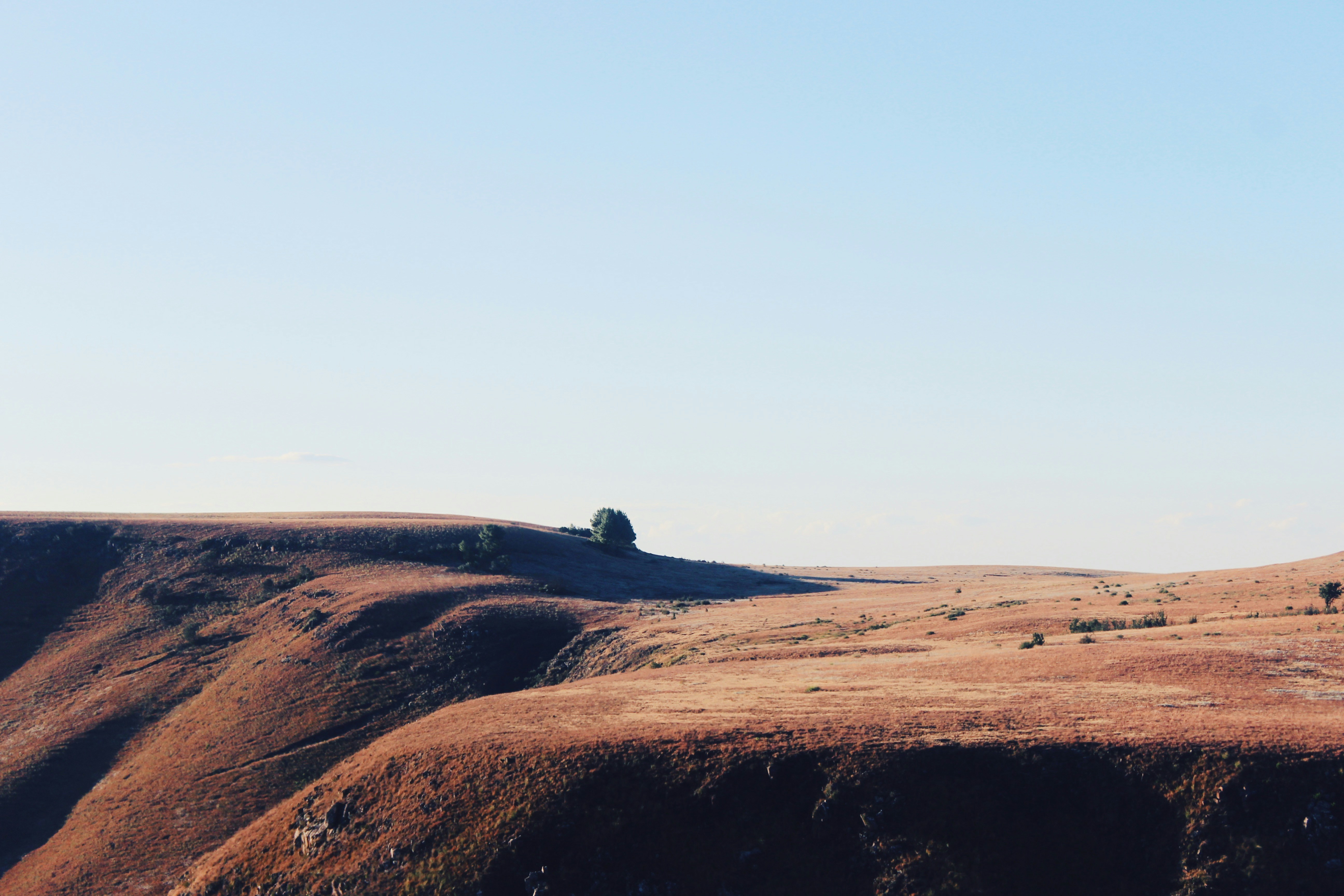 Photo by weylandswart