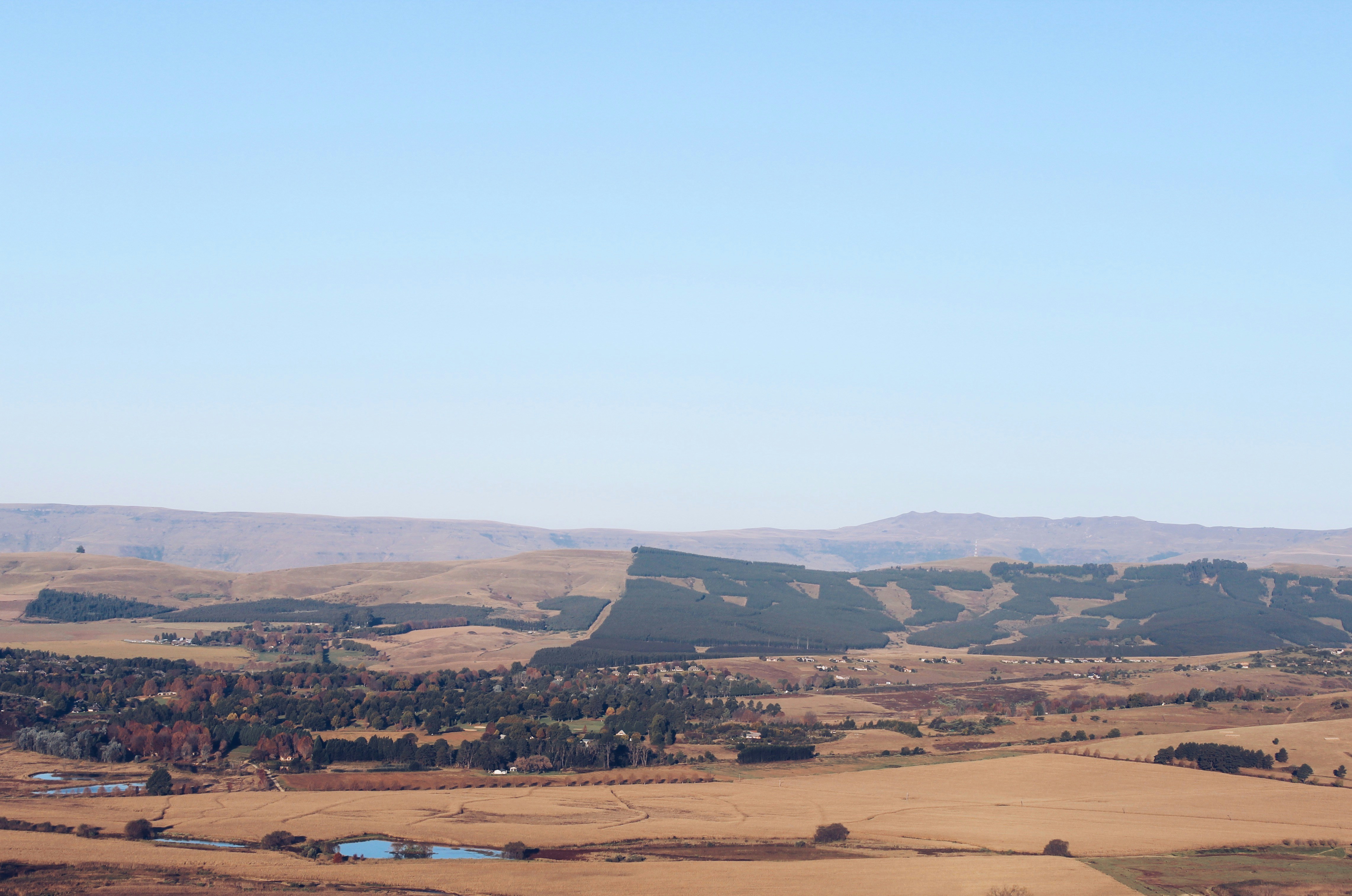 Photo by weylandswart