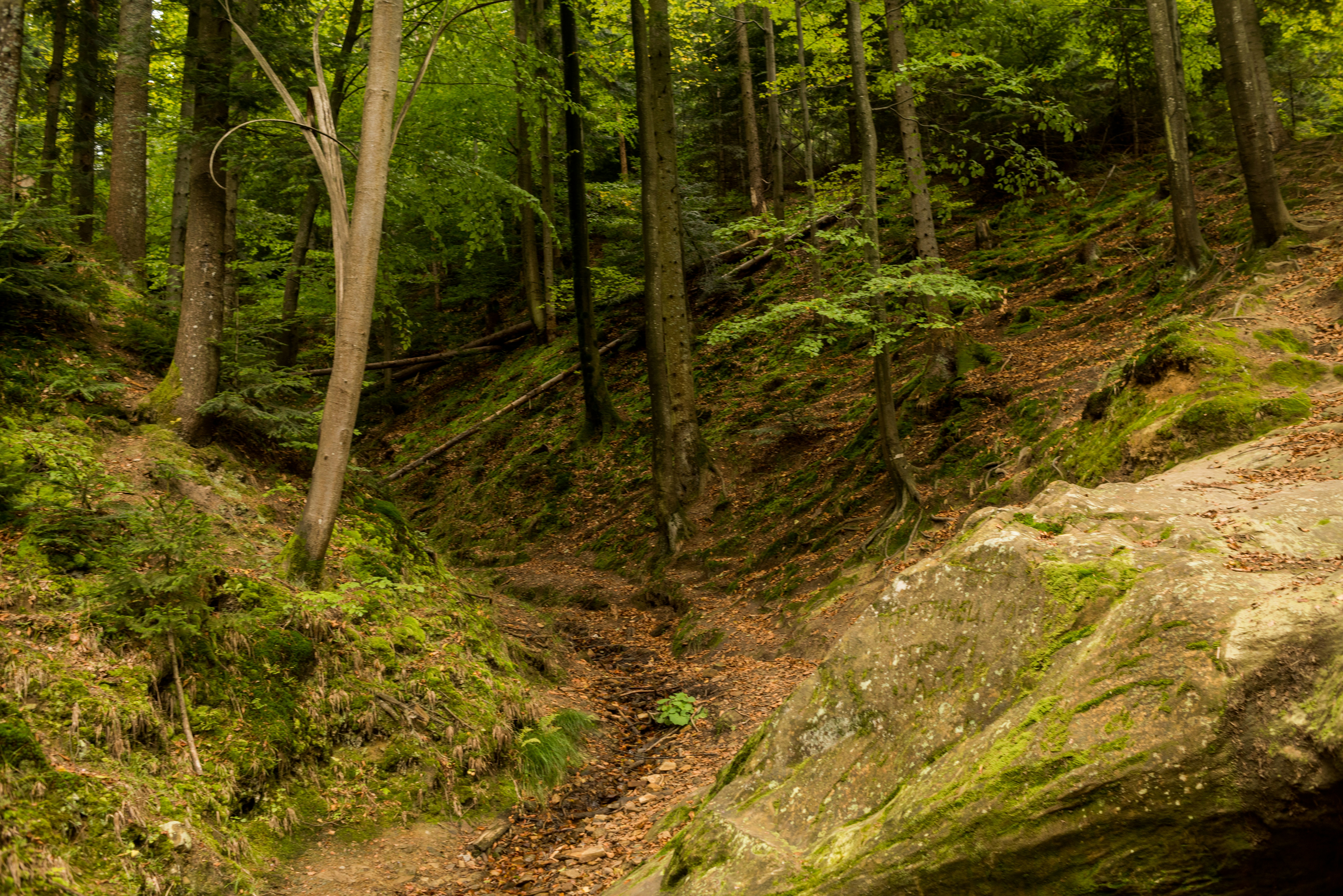 Photo by eugenivy_now