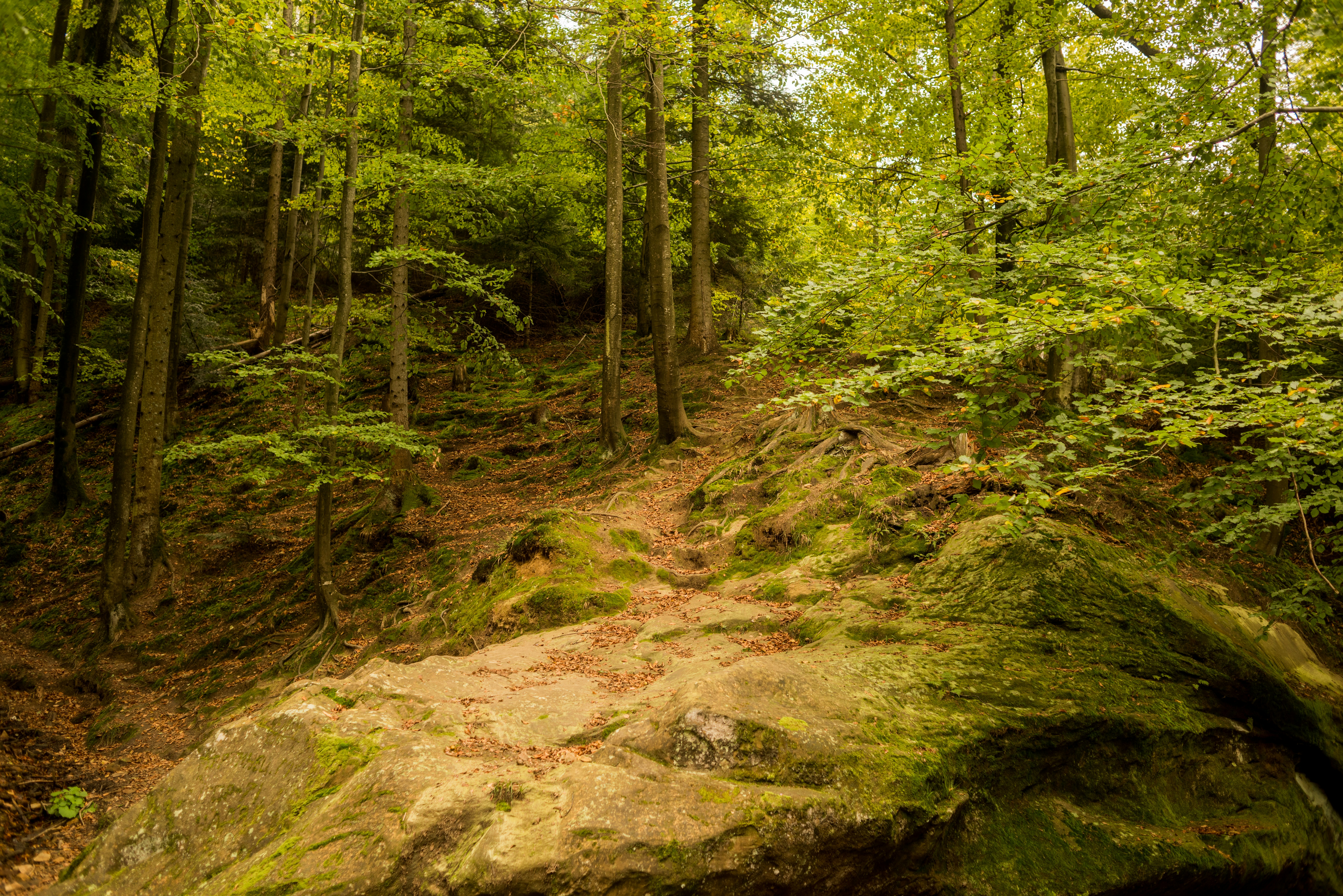 Photo by eugenivy_now