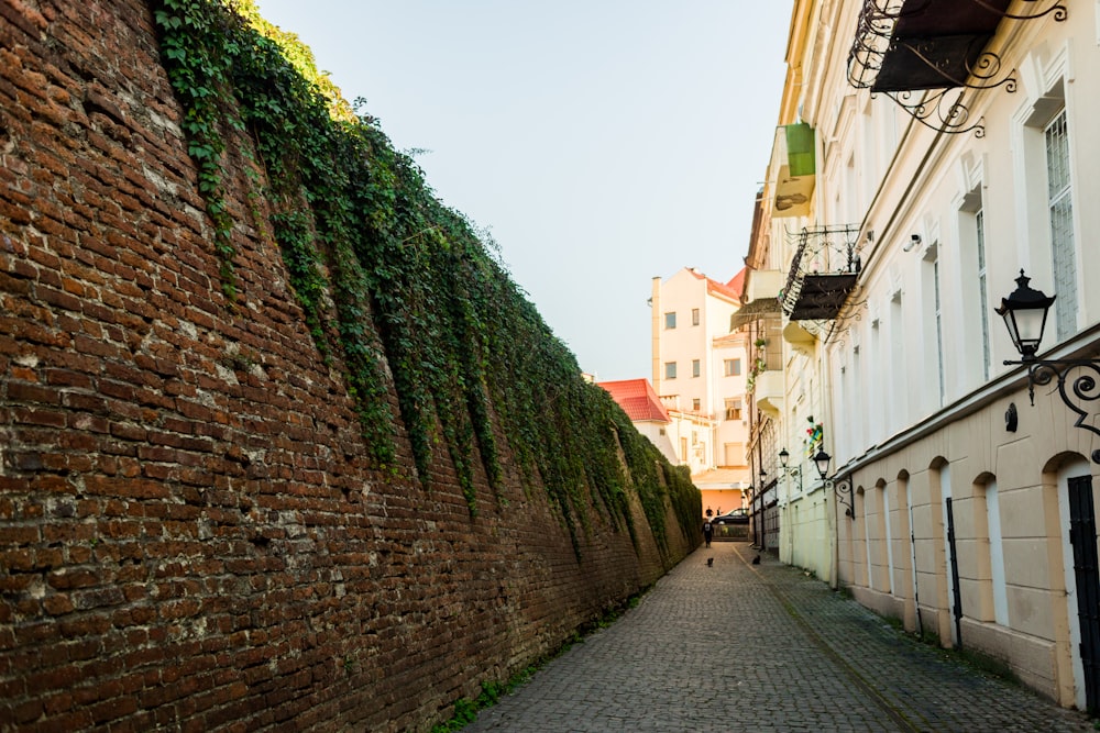 a cobblestone street lined with tall brick buildings