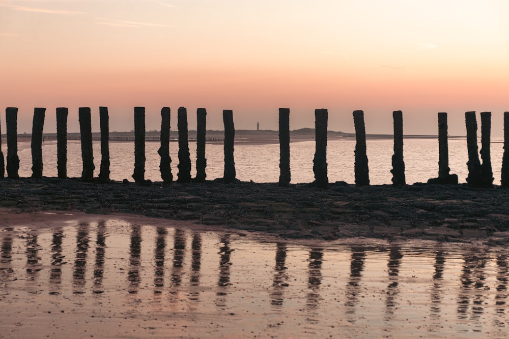 a row of wooden posts sitting on top of a beach