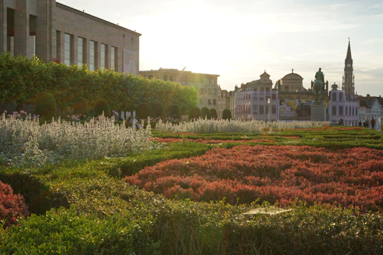 Reda inspecting a beautifully maintained garden at a luxury villa during golden hour.