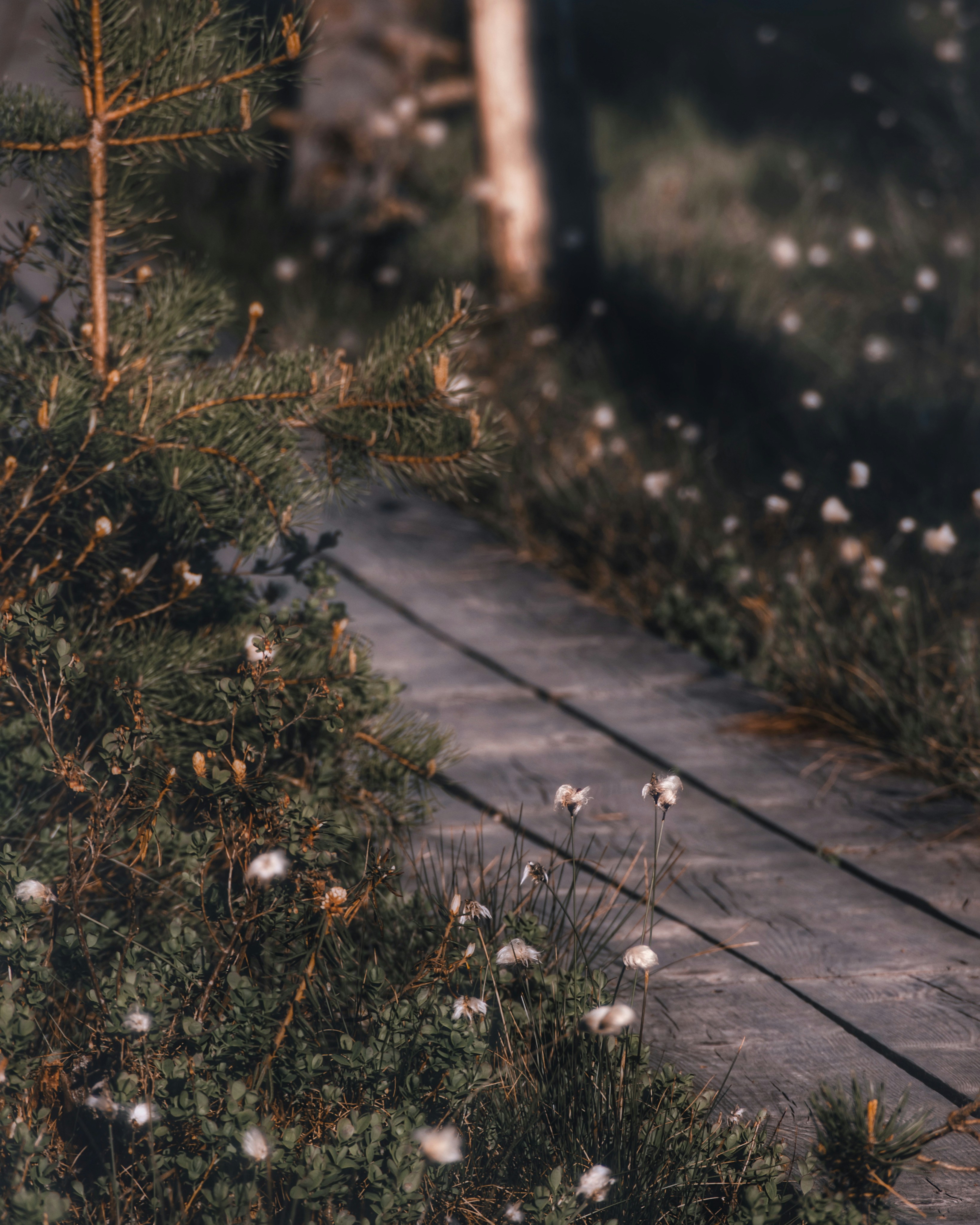 Photo by christina_kozak