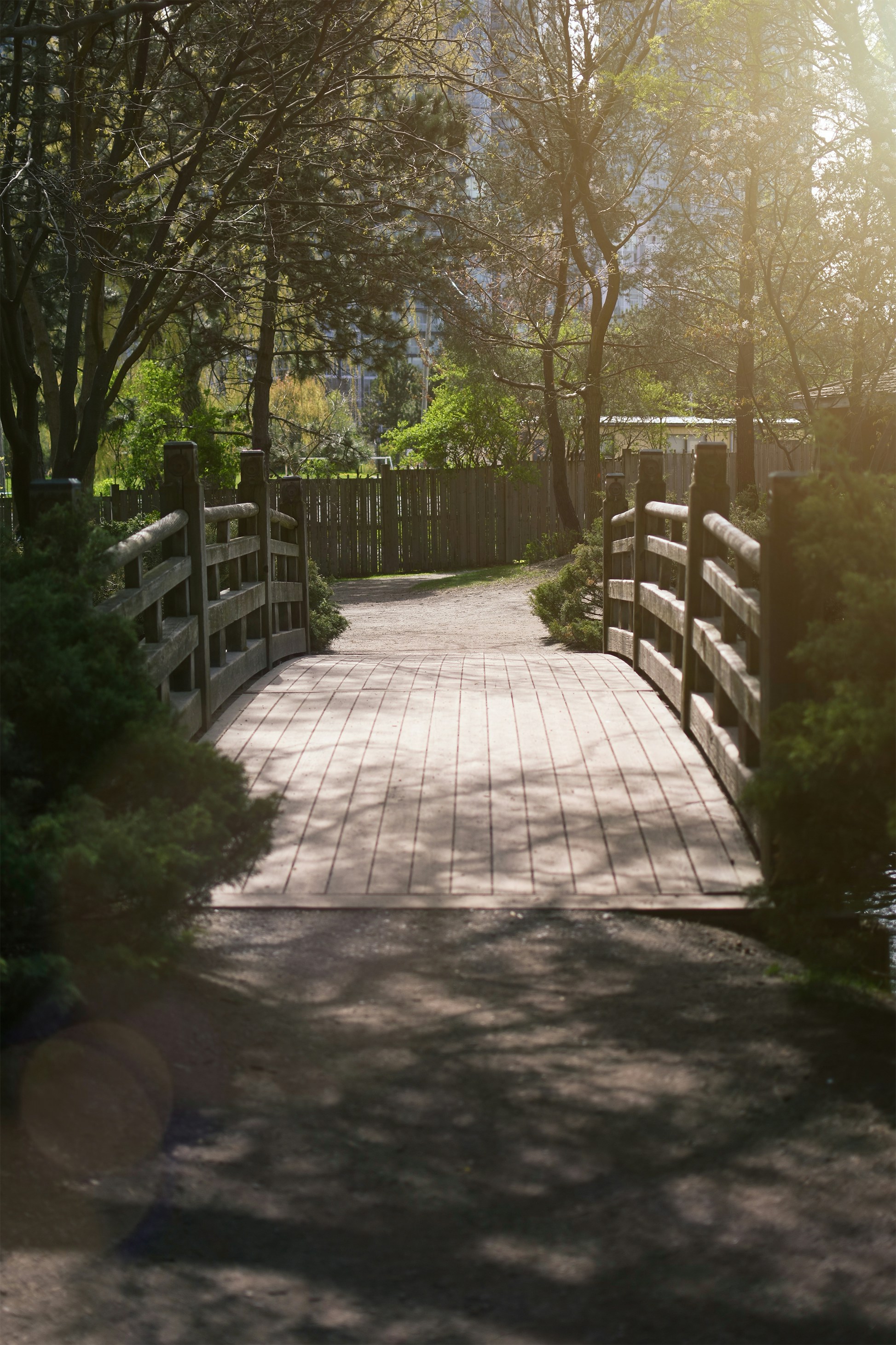 Photo by littlebearhugs