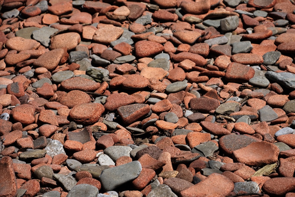 a bunch of rocks that are laying on the ground