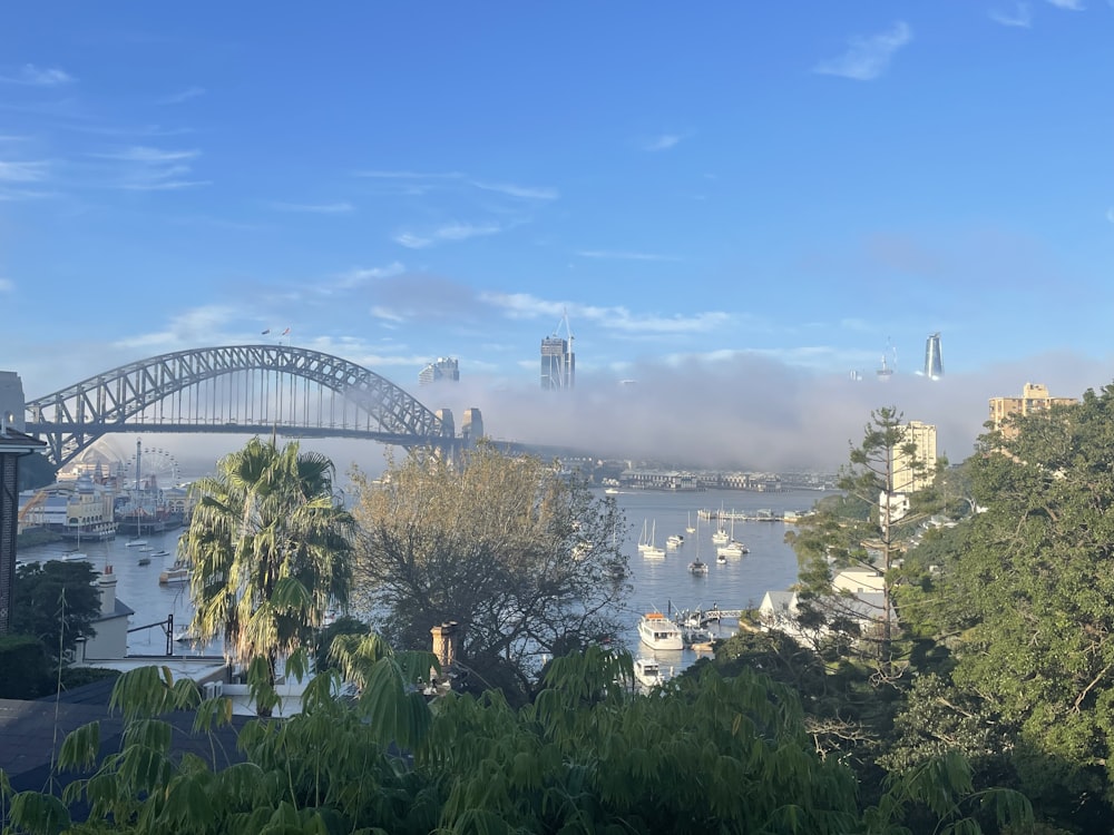 a view of a bridge over a body of water