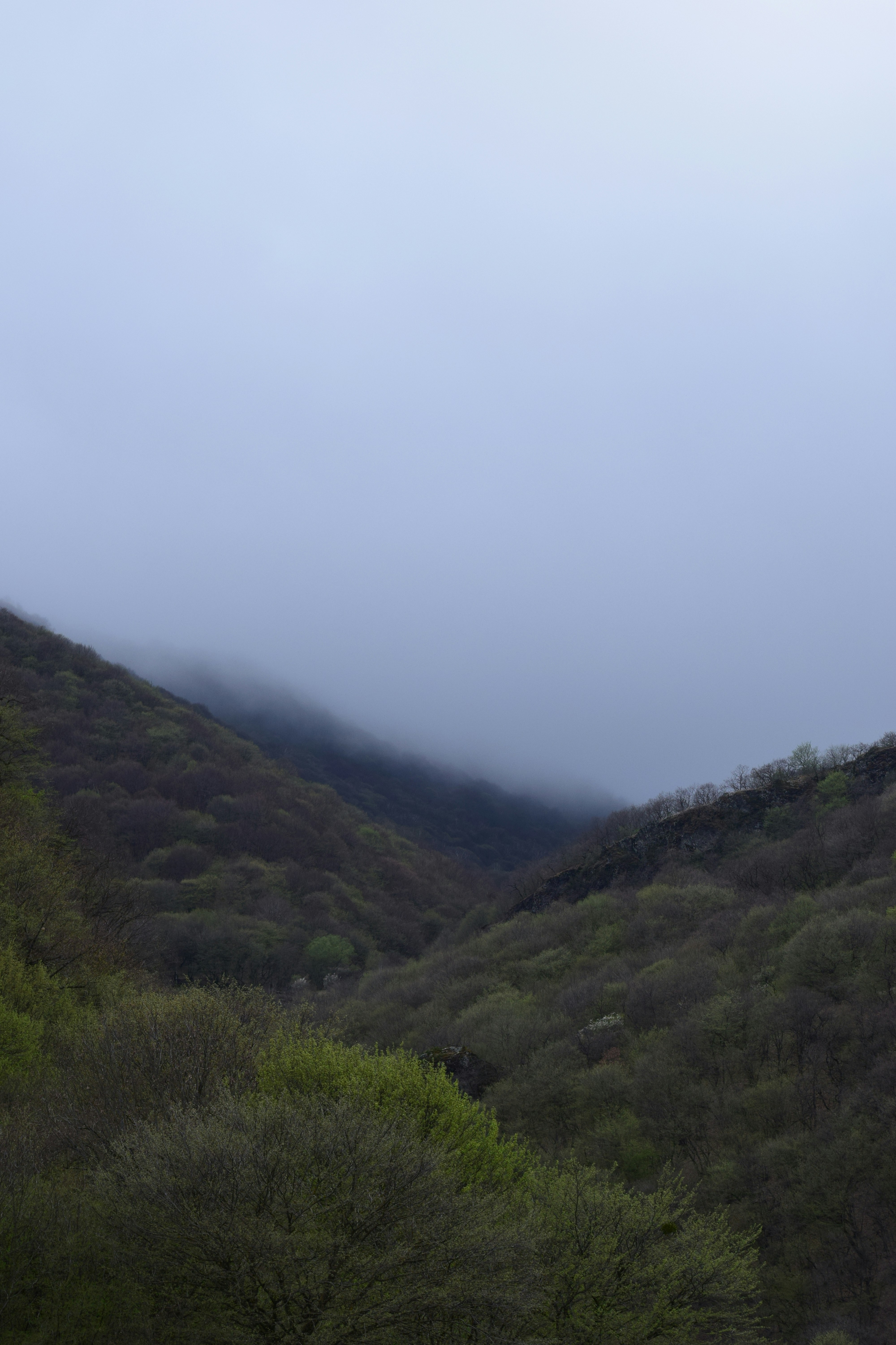 Photo by nillsancti