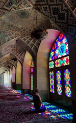 Volunteers painting walls inside the masjid with bright colors