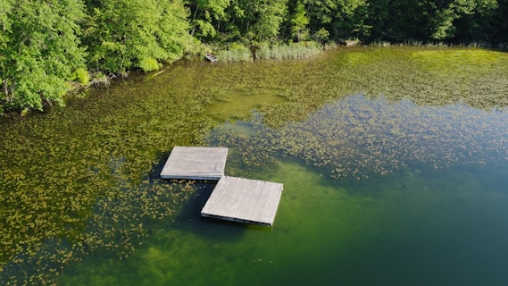 Two wooden platforms float on a calm, greenish body of water, surrounded by abundant green foliage. The water is clear, displaying patches of aquatic plants beneath the surface. A small boat is visible in the distance near a dense area of trees along the shore.