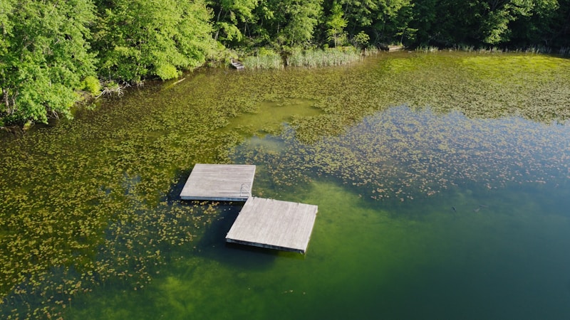 Two wooden platforms float on a calm, greenish body of water, surrounded by abundant green foliage. The water is clear, displaying patches of aquatic plants beneath the surface. A small boat is visible in the distance near a dense area of trees along the shore.