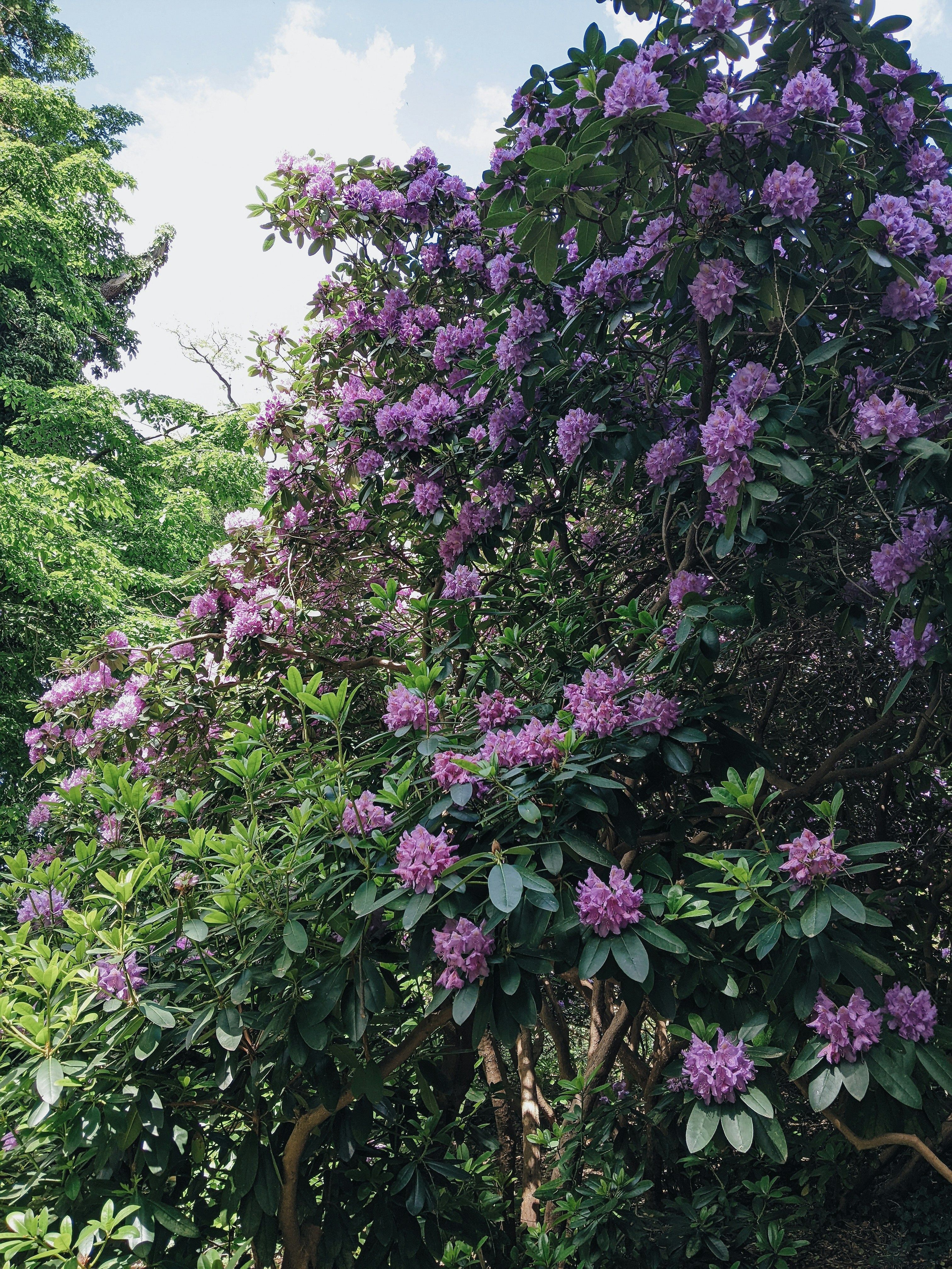 Photo by muchowakoid