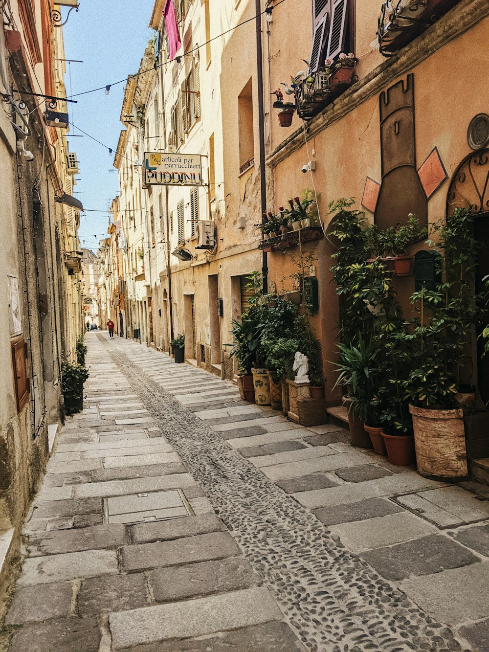 a cobblestone street lined with potted plants