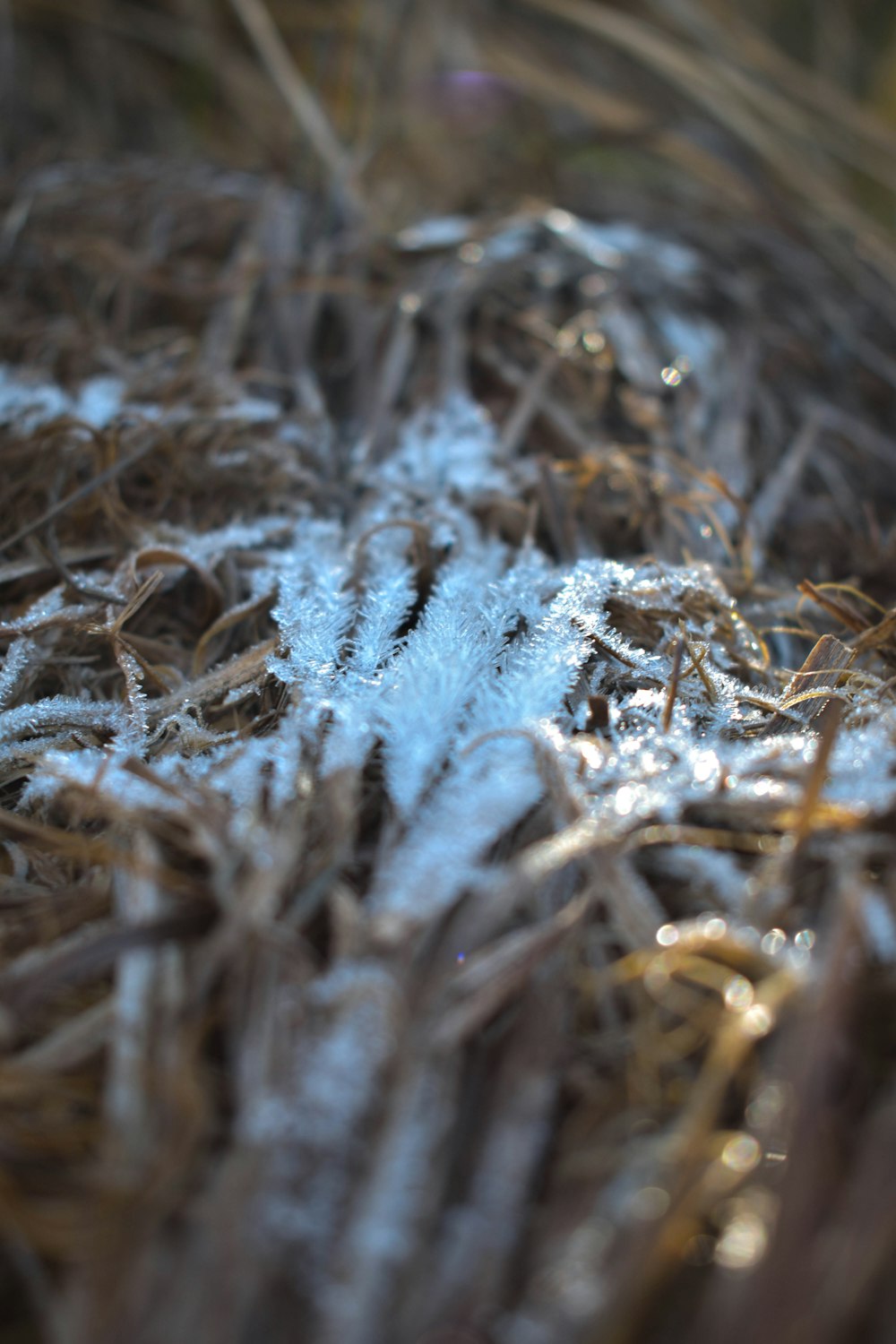 a close up of a snow flake on the ground