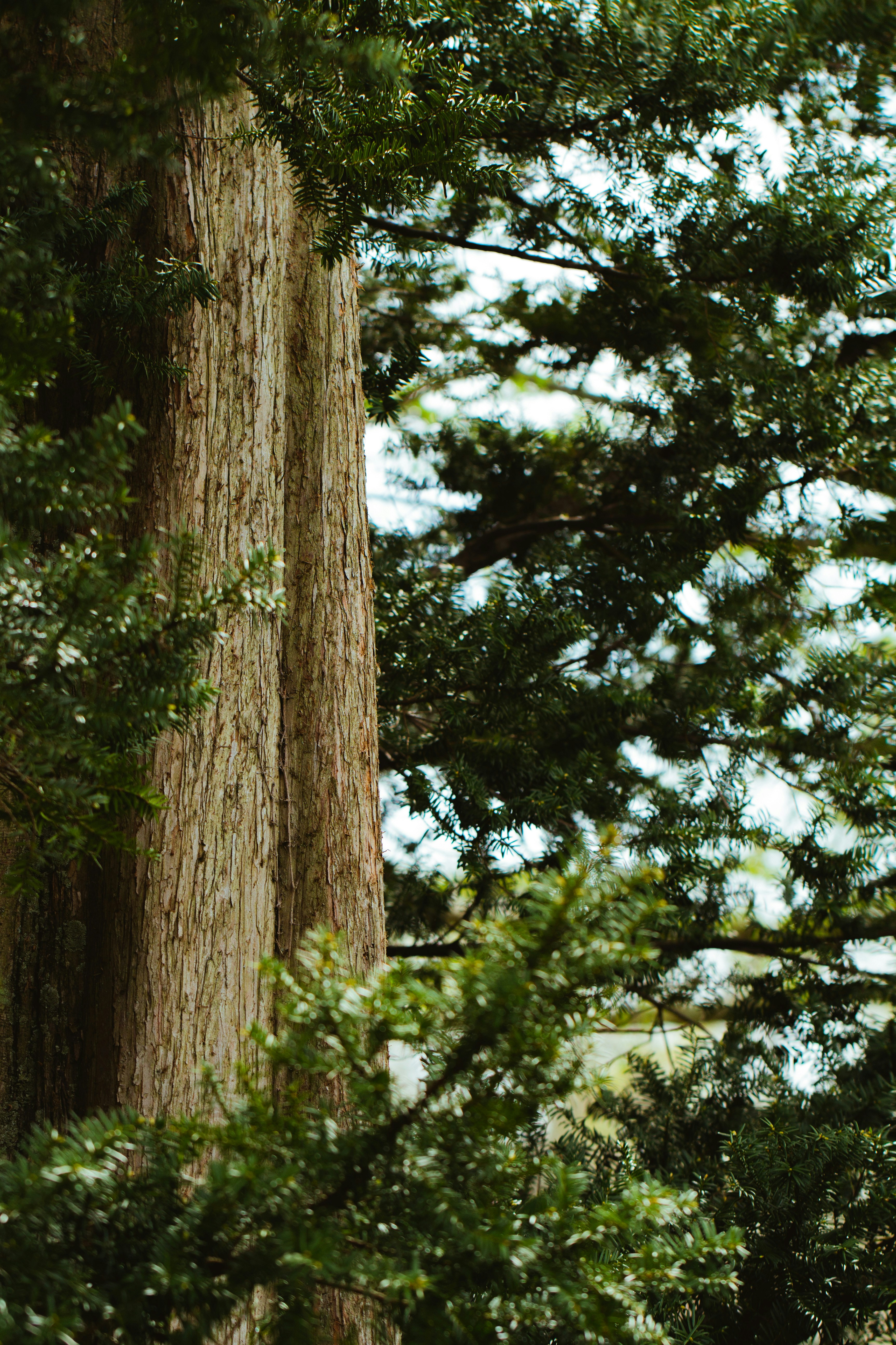 Photo by emmanuelphaeton