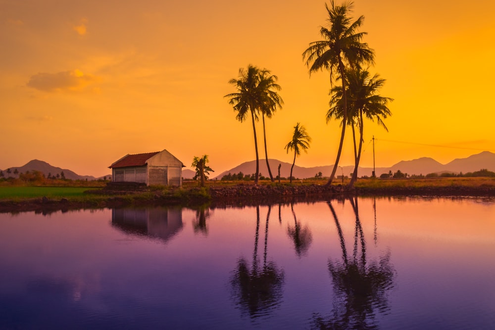 a beautiful sunset with palm trees reflecting in the water