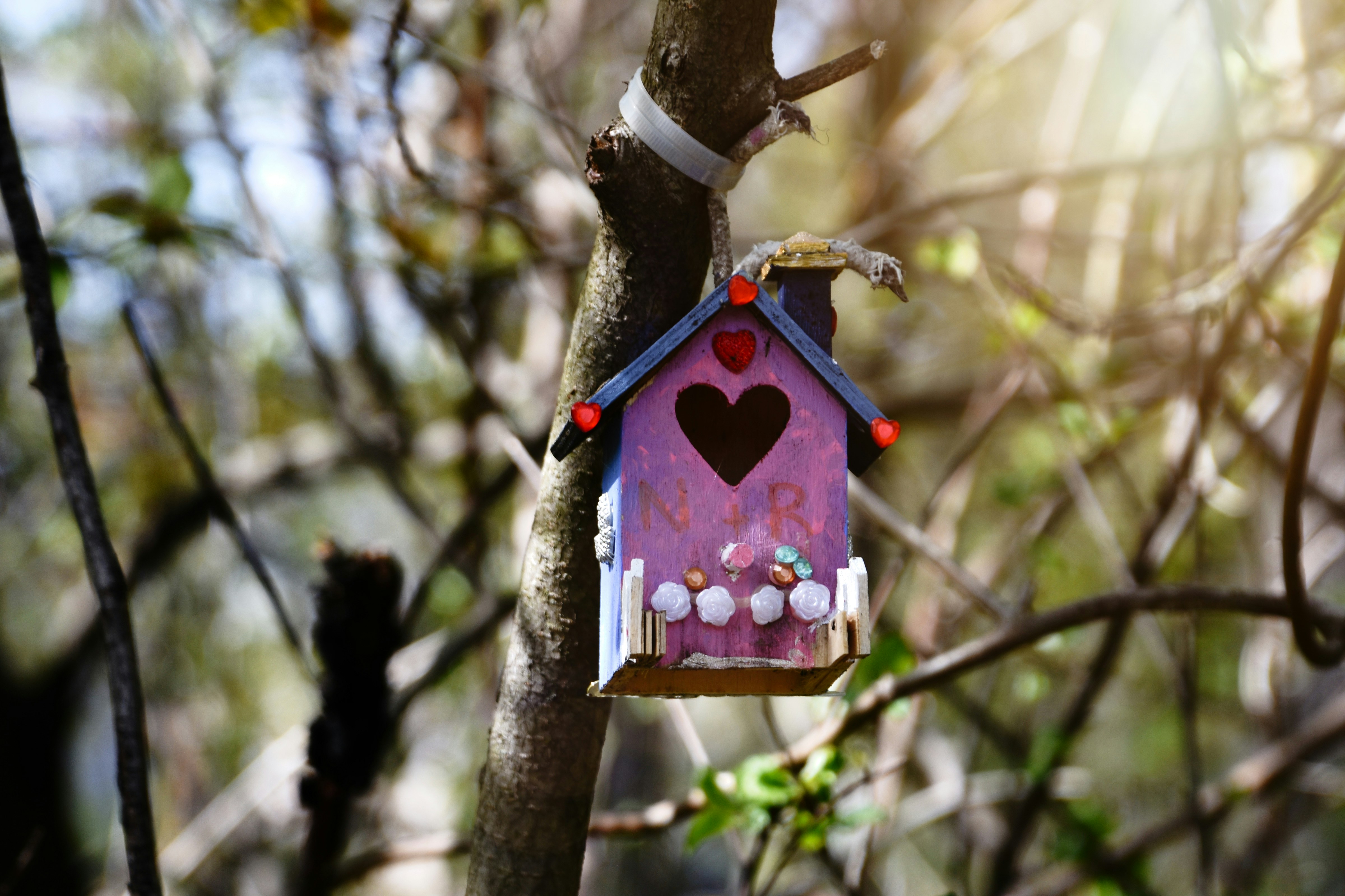 Ein Vogelhaus, das an einem Ast hängt