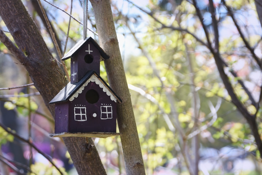 a purple bird house hanging from a tree