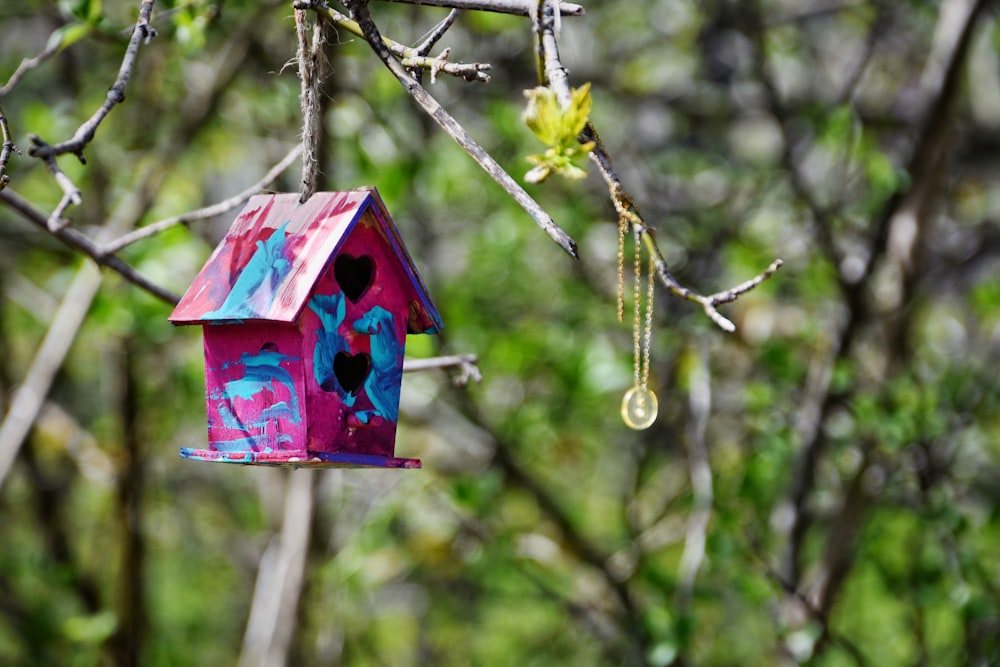 a bird house hanging from a tree branch