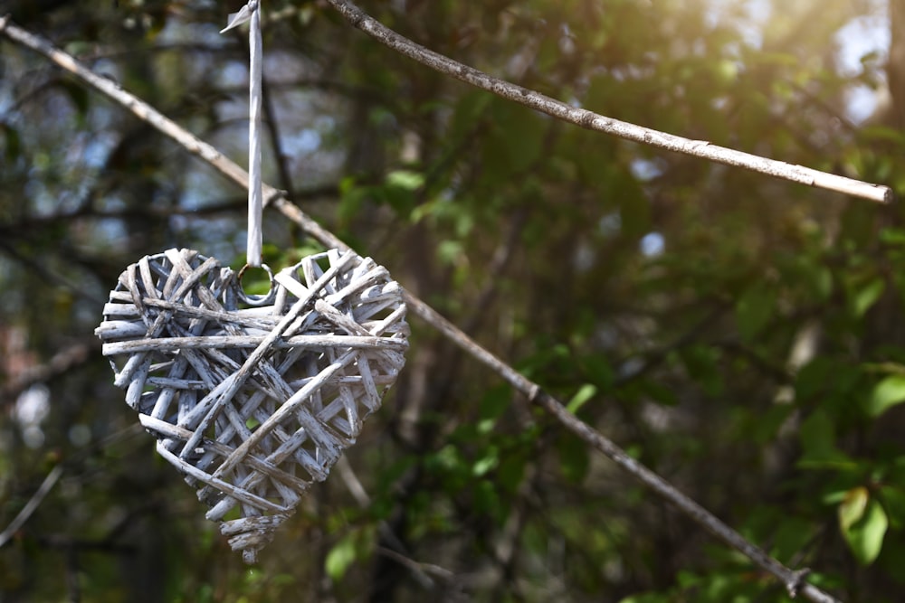 a heart shaped ornament hanging from a tree