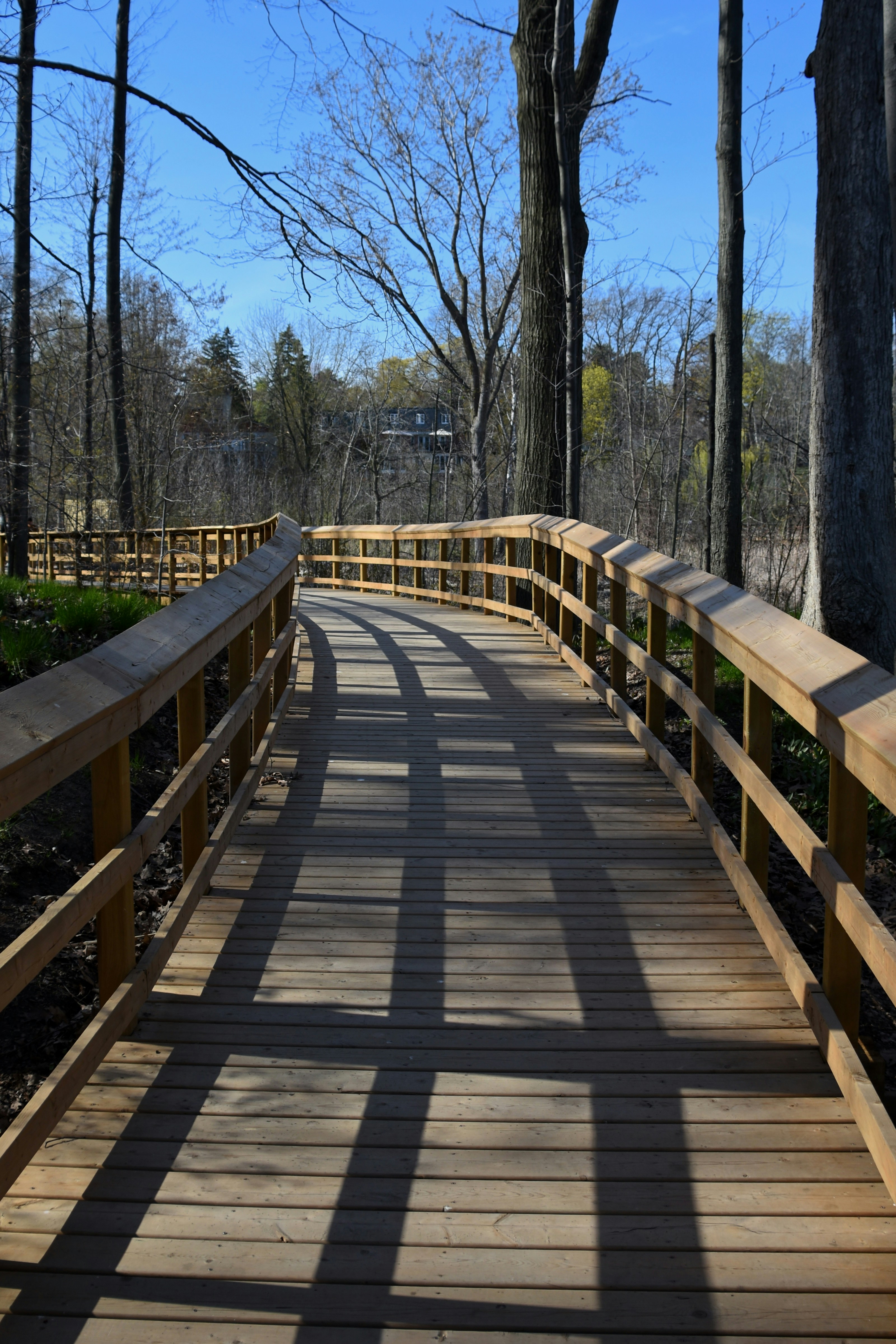 Photo by littlebearhugs