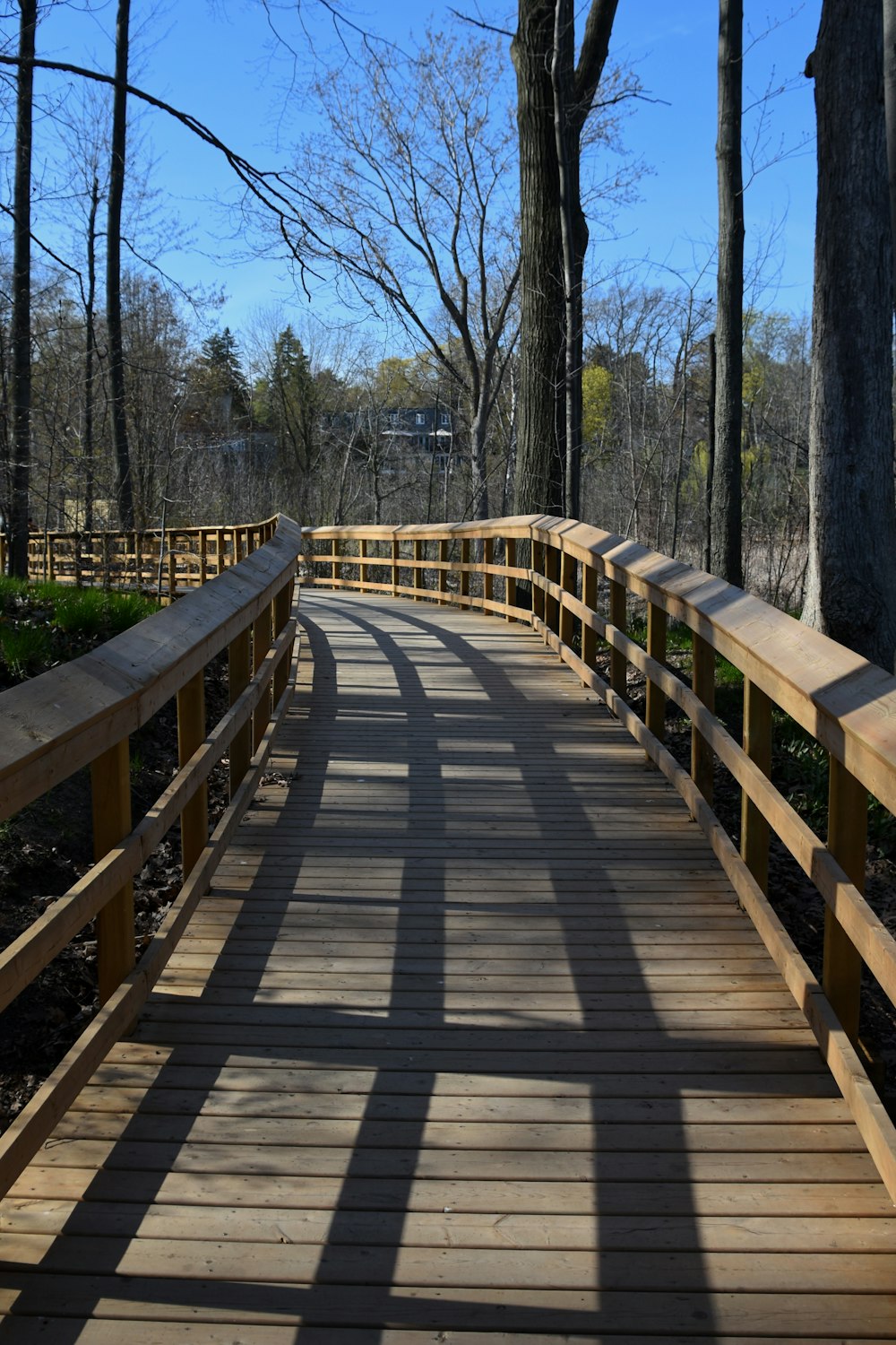 a wooden bridge in the middle of a wooded area