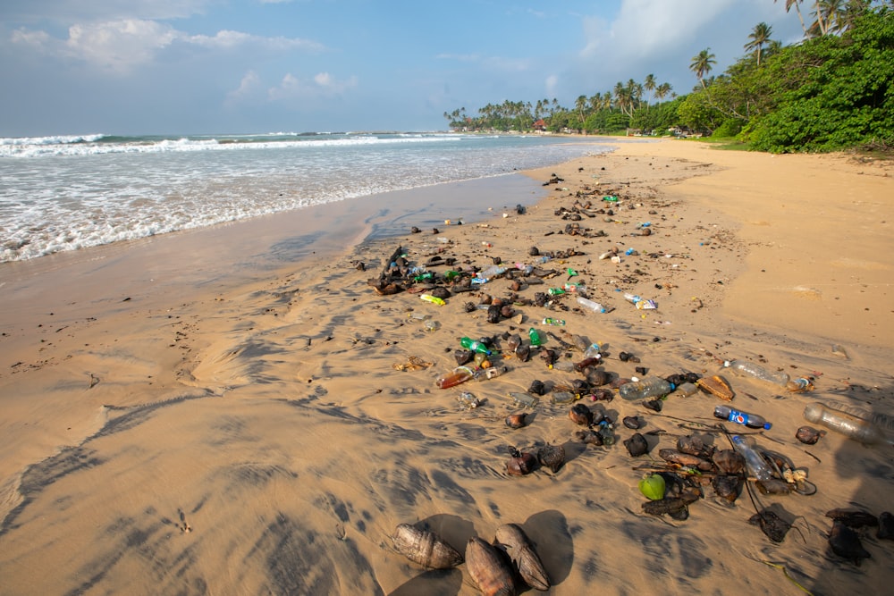 Una spiaggia con un sacco di spazzatura su di esso