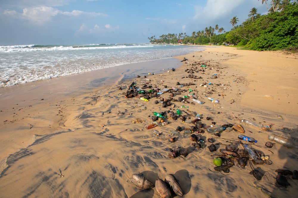 Ein Strand mit viel Müll drauf