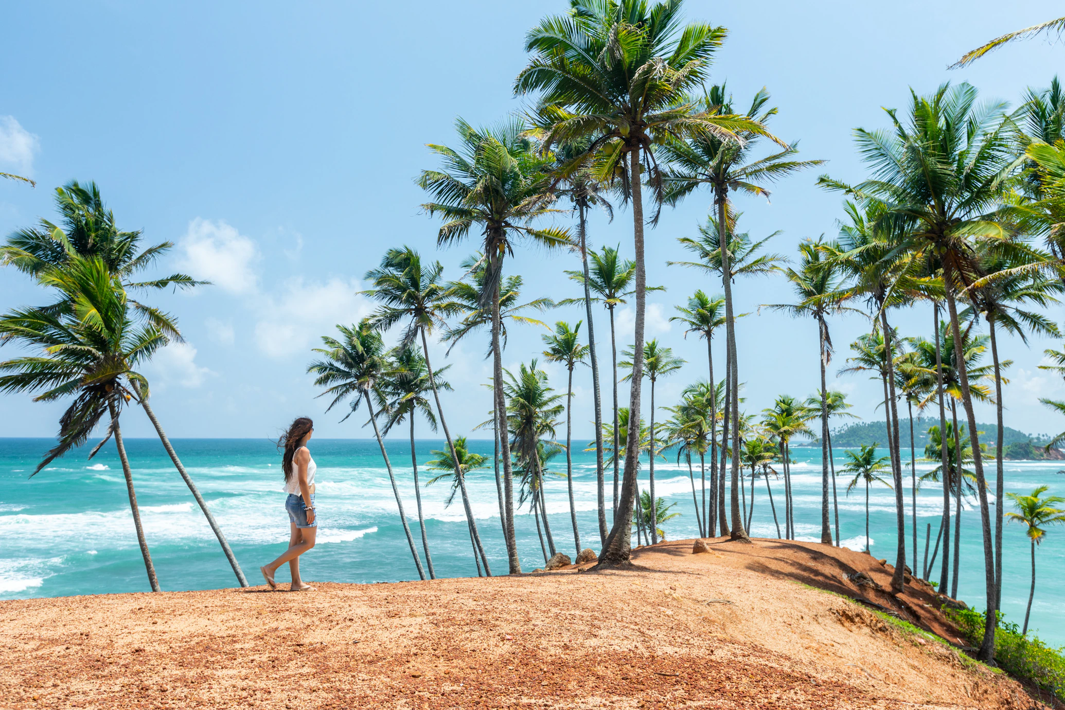 Coconut Tree Hill