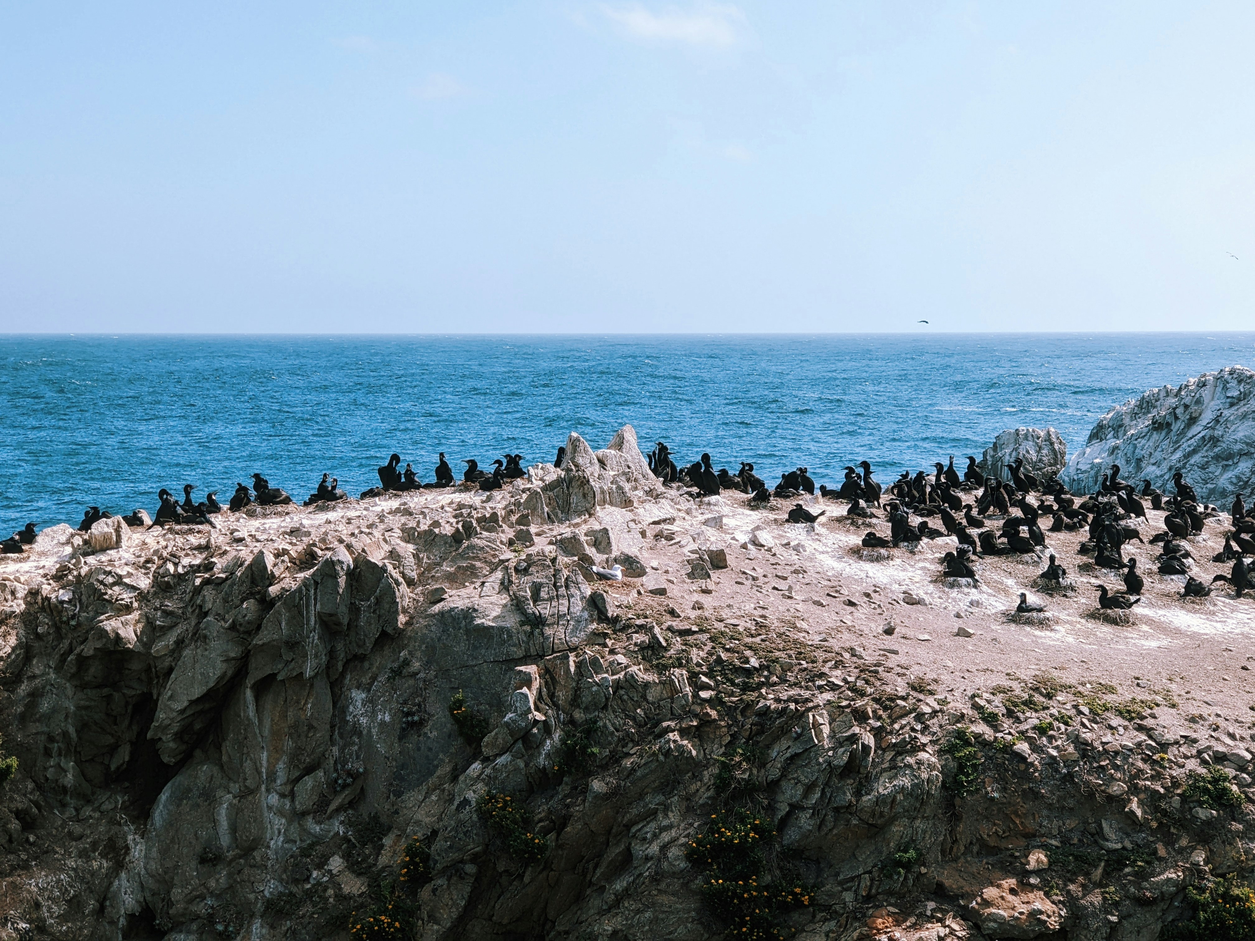 Photo by carbonscott