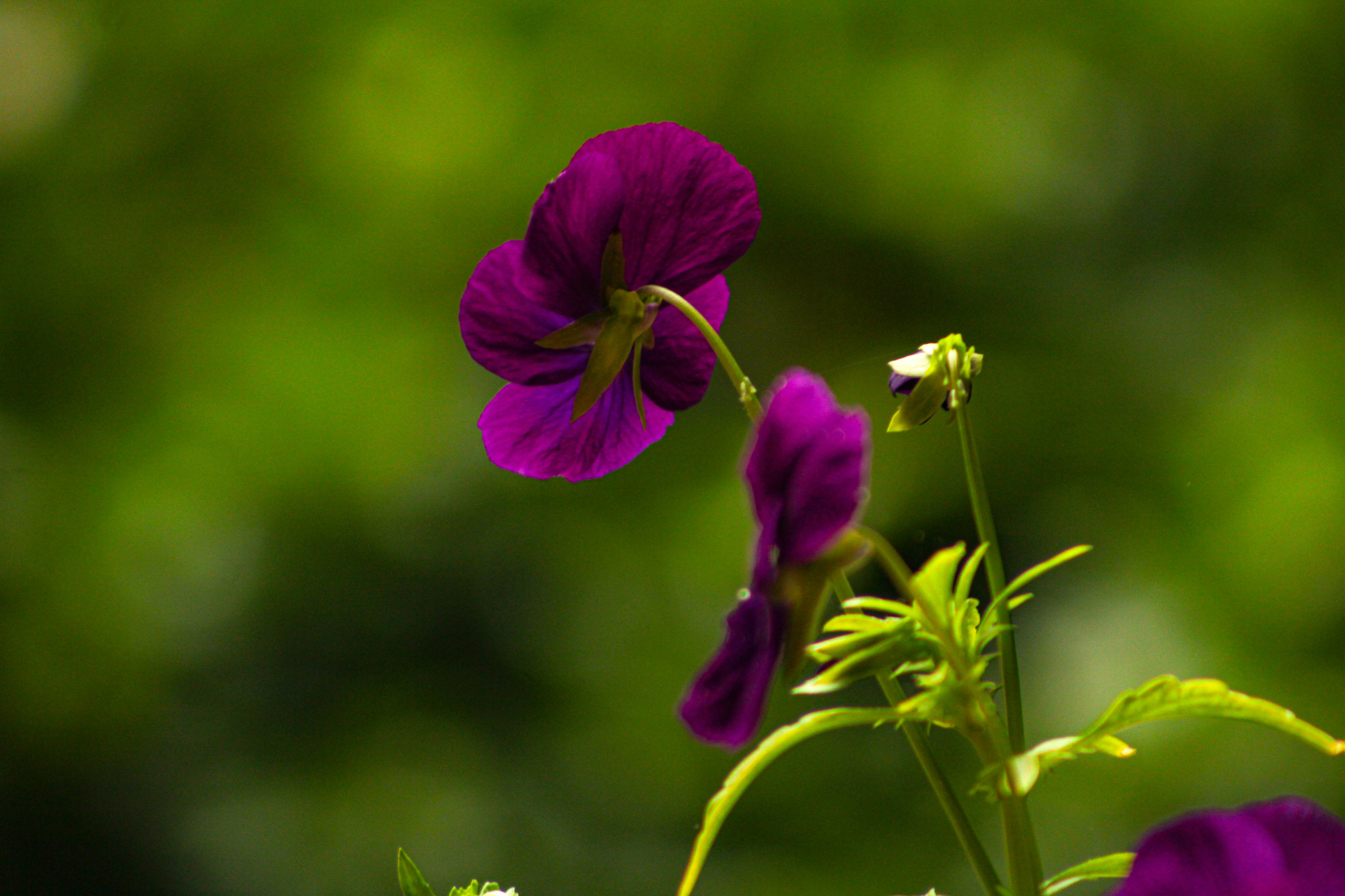 Photo by ashlynnephotos