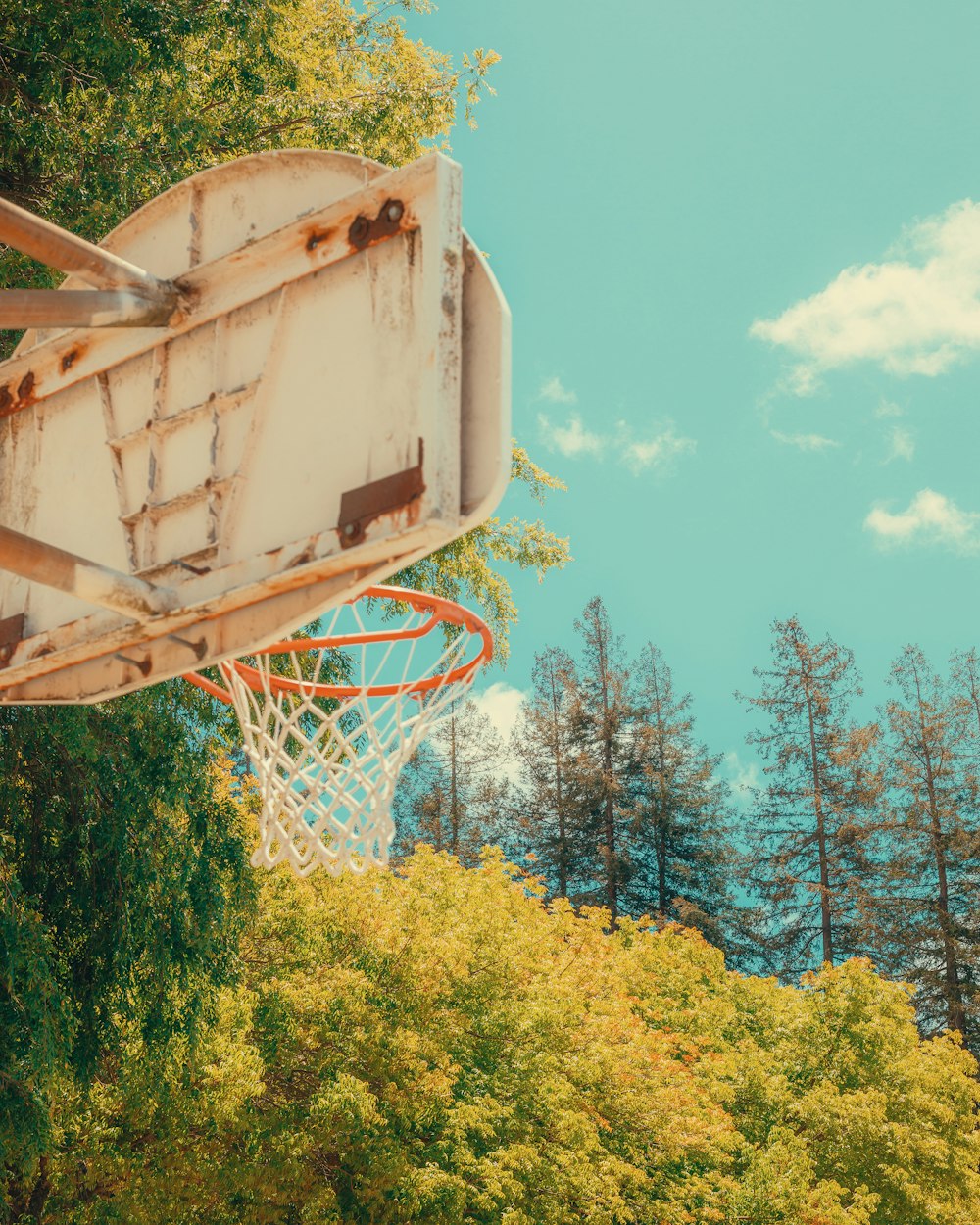 背景に木々のある古いバスケットボールのフープ