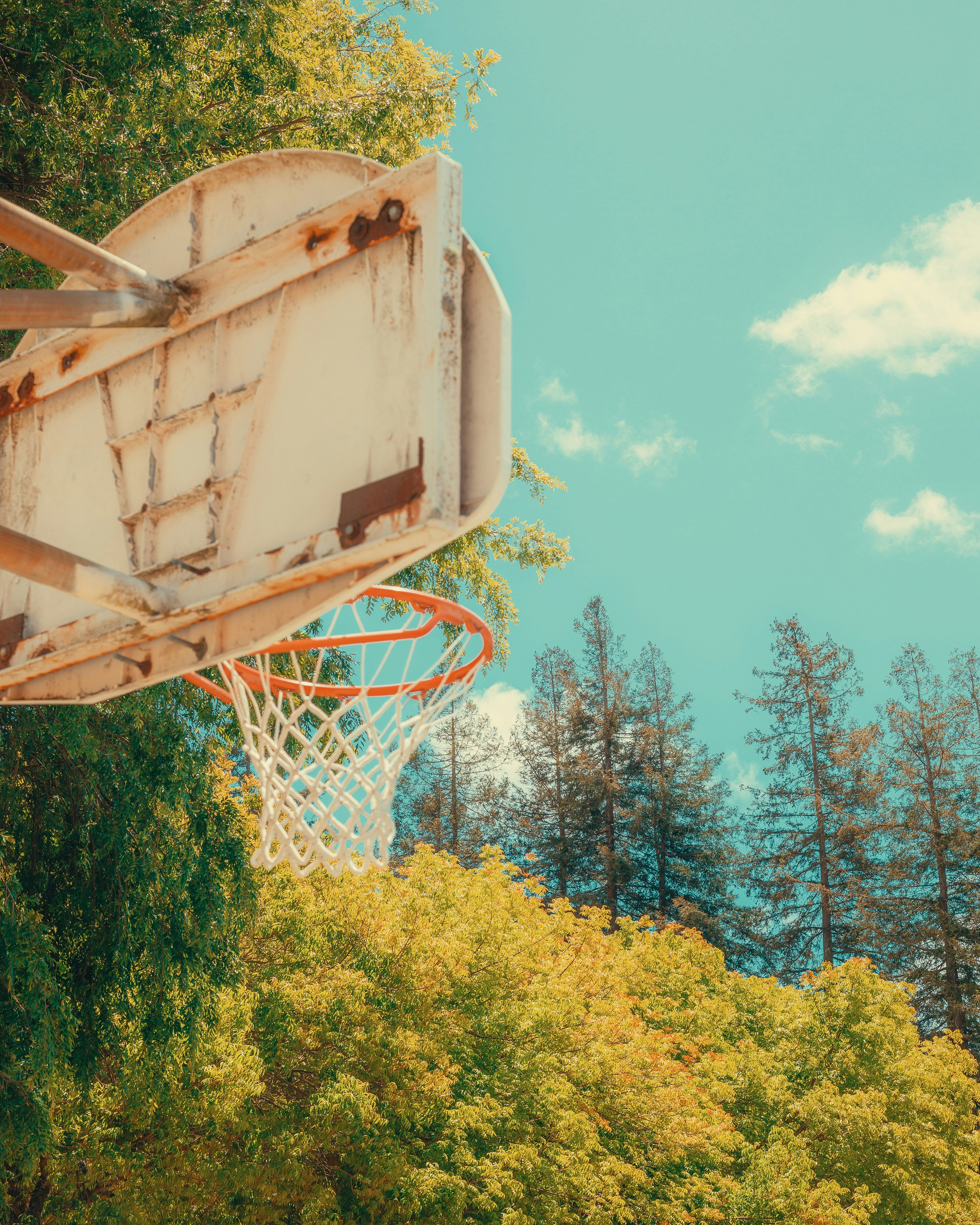 an old basketball hoop with trees in the background