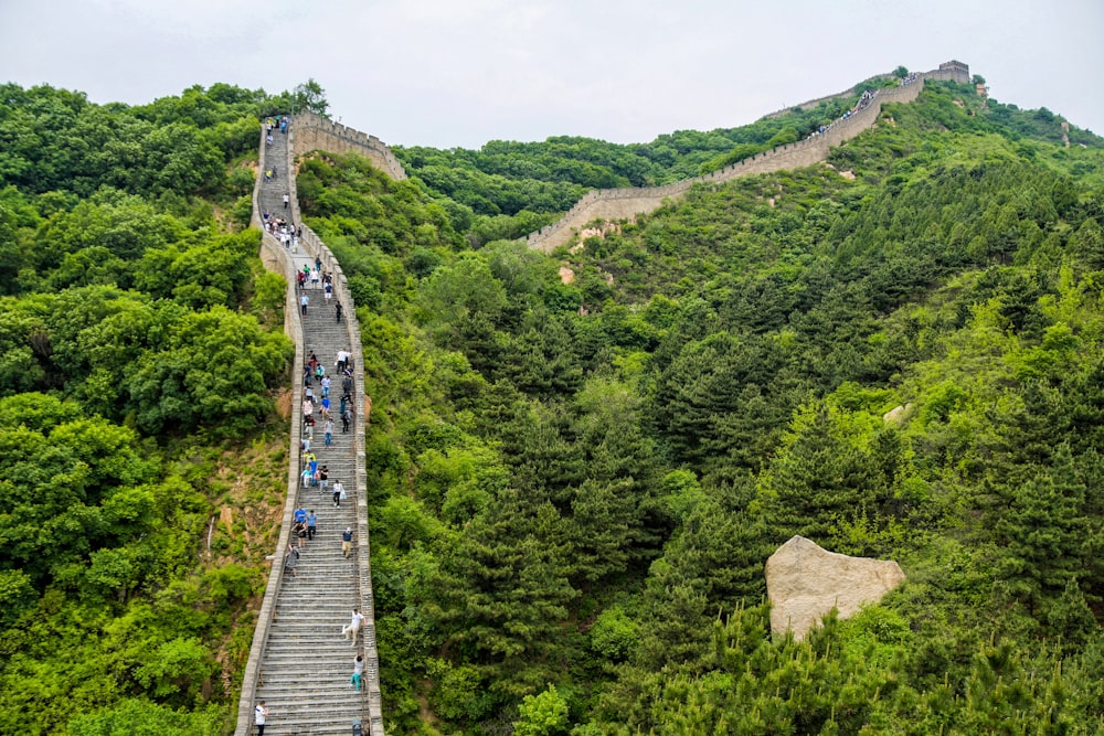 a group of people walking up a long wooden walkway