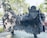 A large, intricately designed metal sculpture of a mythical creature with a lion-like body, thick mane, and decorative patterns on its back. The sculpture is set outdoors in a park-like area surrounded by trees and greenery.
