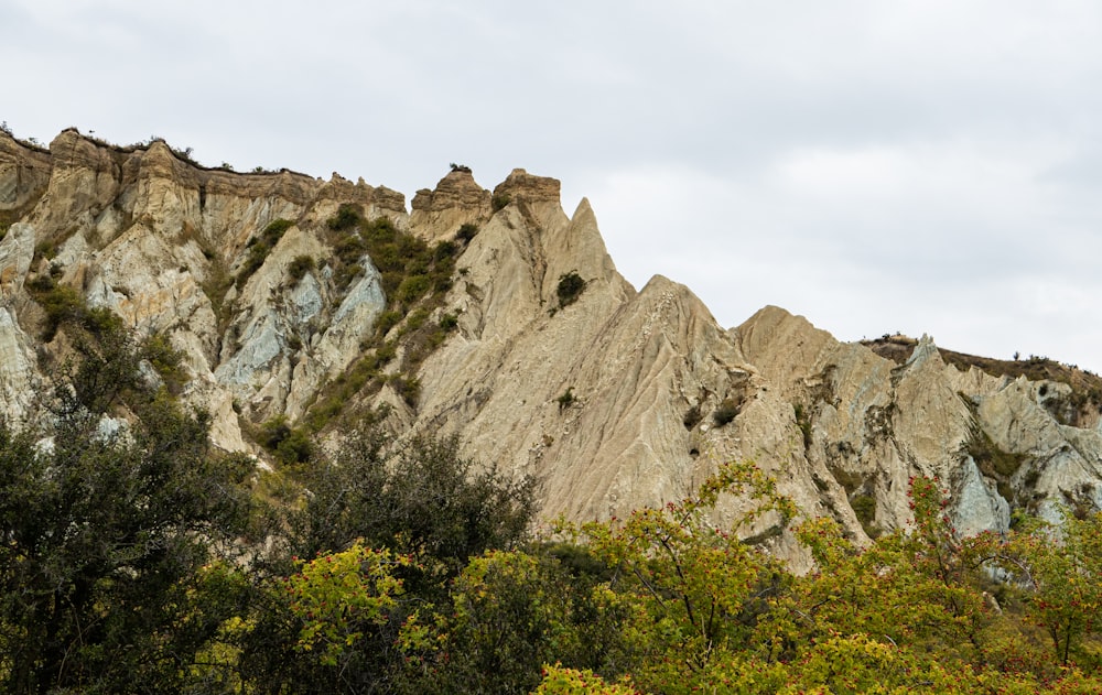 a rocky mountain with trees on the side