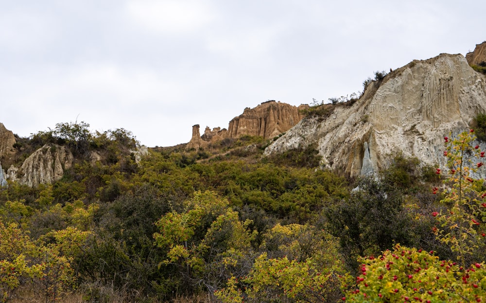 a rocky mountain with trees and bushes on the side