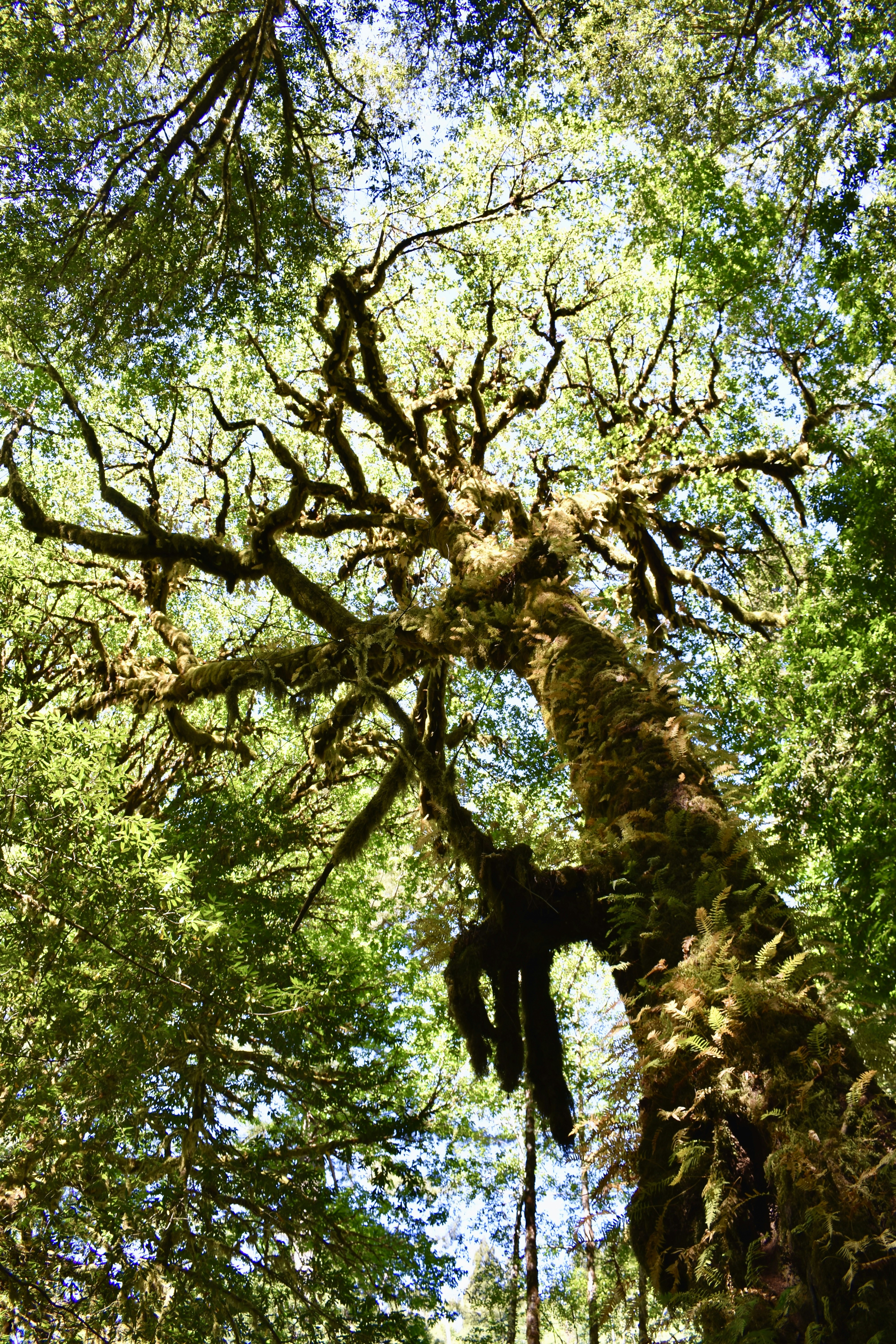 Photo by logan_easterling